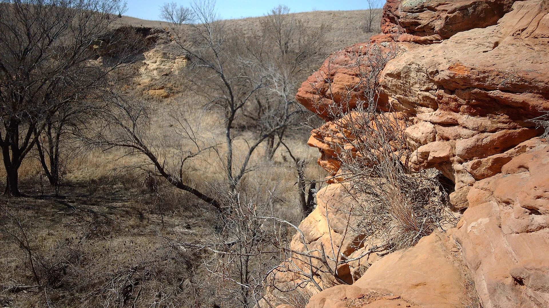 Rote Sandsteinbluffs und Wald im Kanopolis State Park