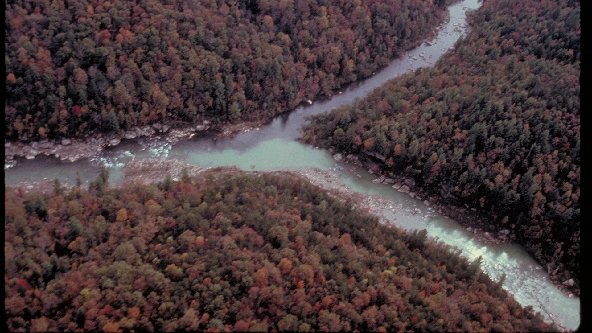Big South Fork River zieht sich durch bewaldete Schluchten in Kentucky und Tennessee