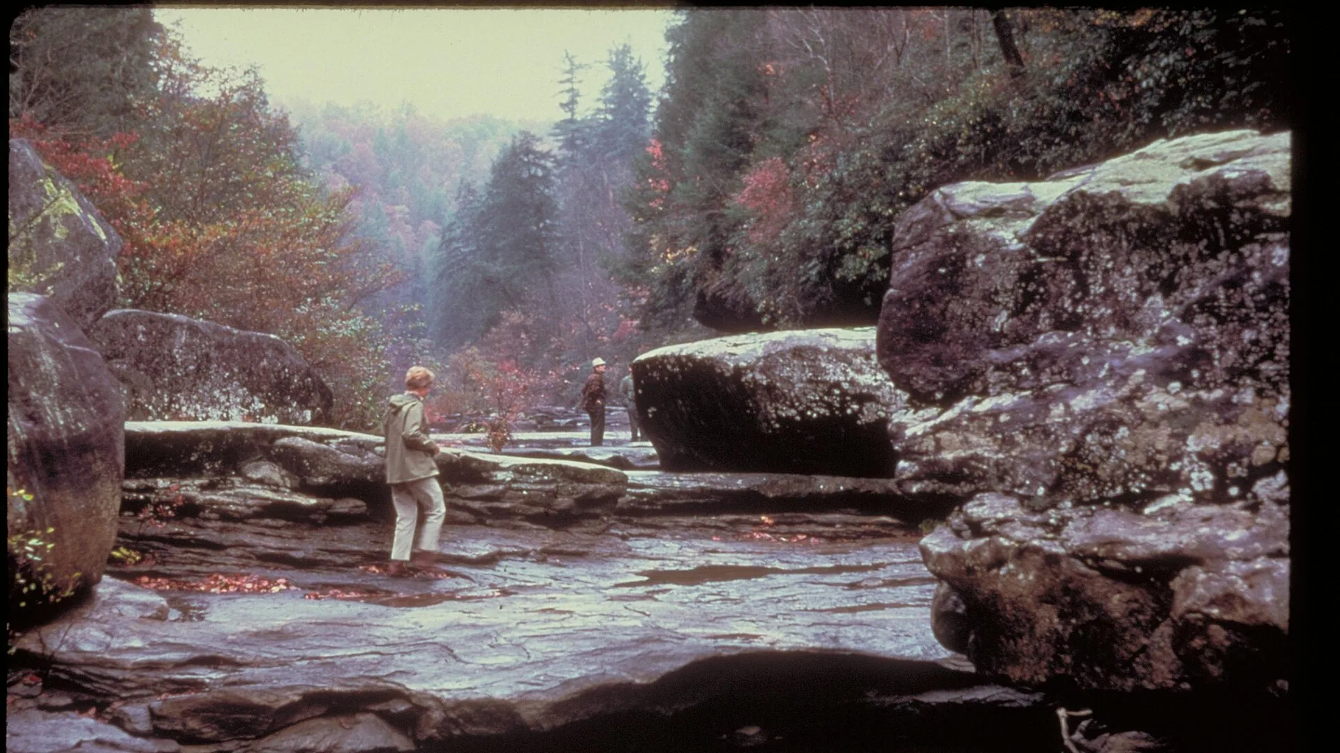 Felsiger Flussabschnitt im Big South Fork National River and Recreation Area