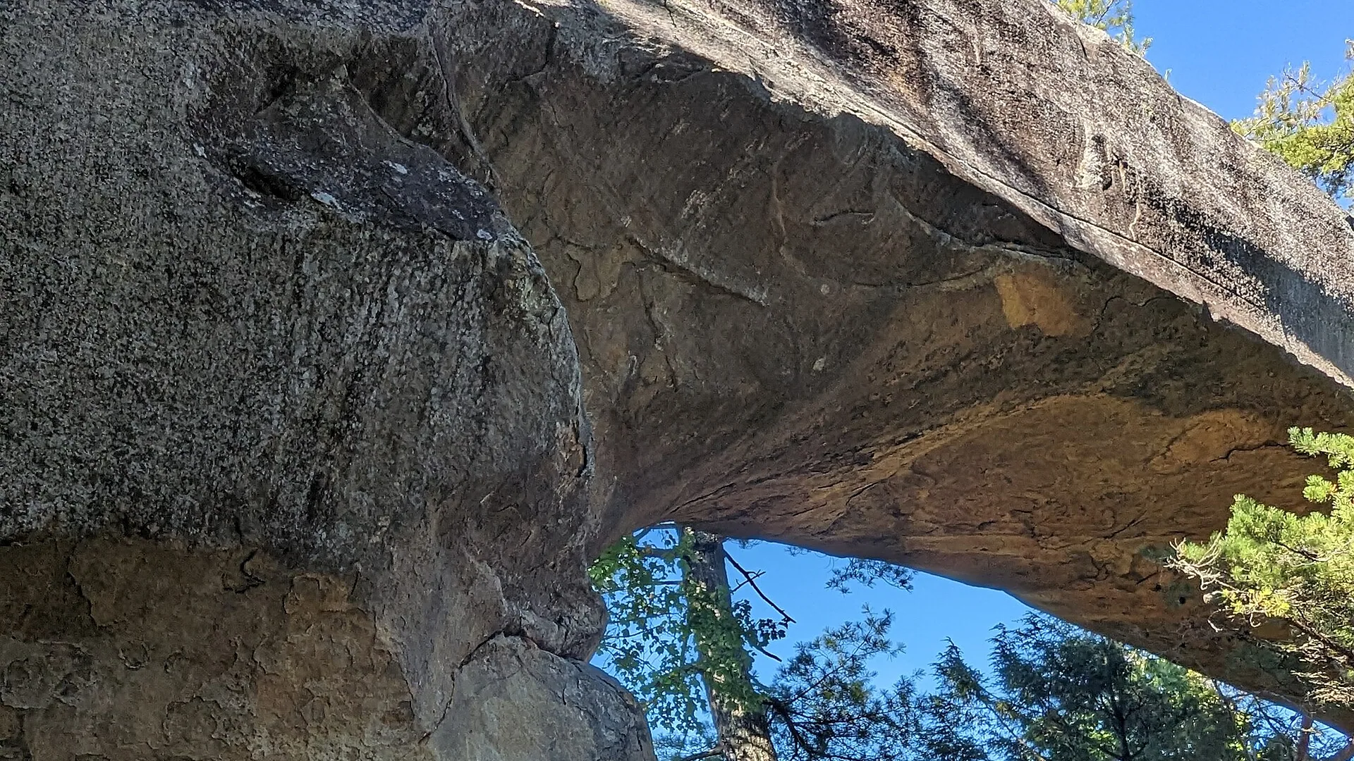 Sandsteinbogen des Sky Bridge zwischen Bäumen in der Red River Gorge