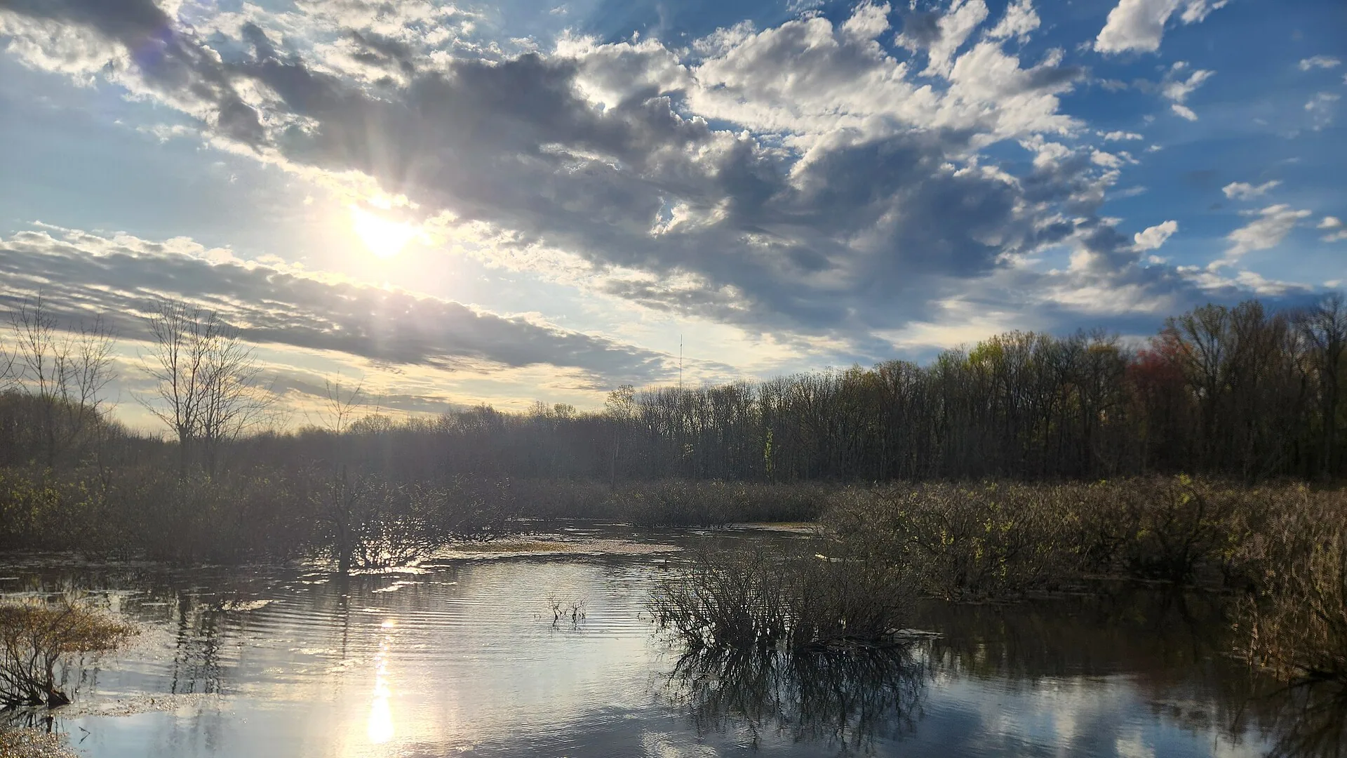 Abendlicht spiegelt sich im Feuchtgebiet am Wetlands Trail des John James Audubon State Park