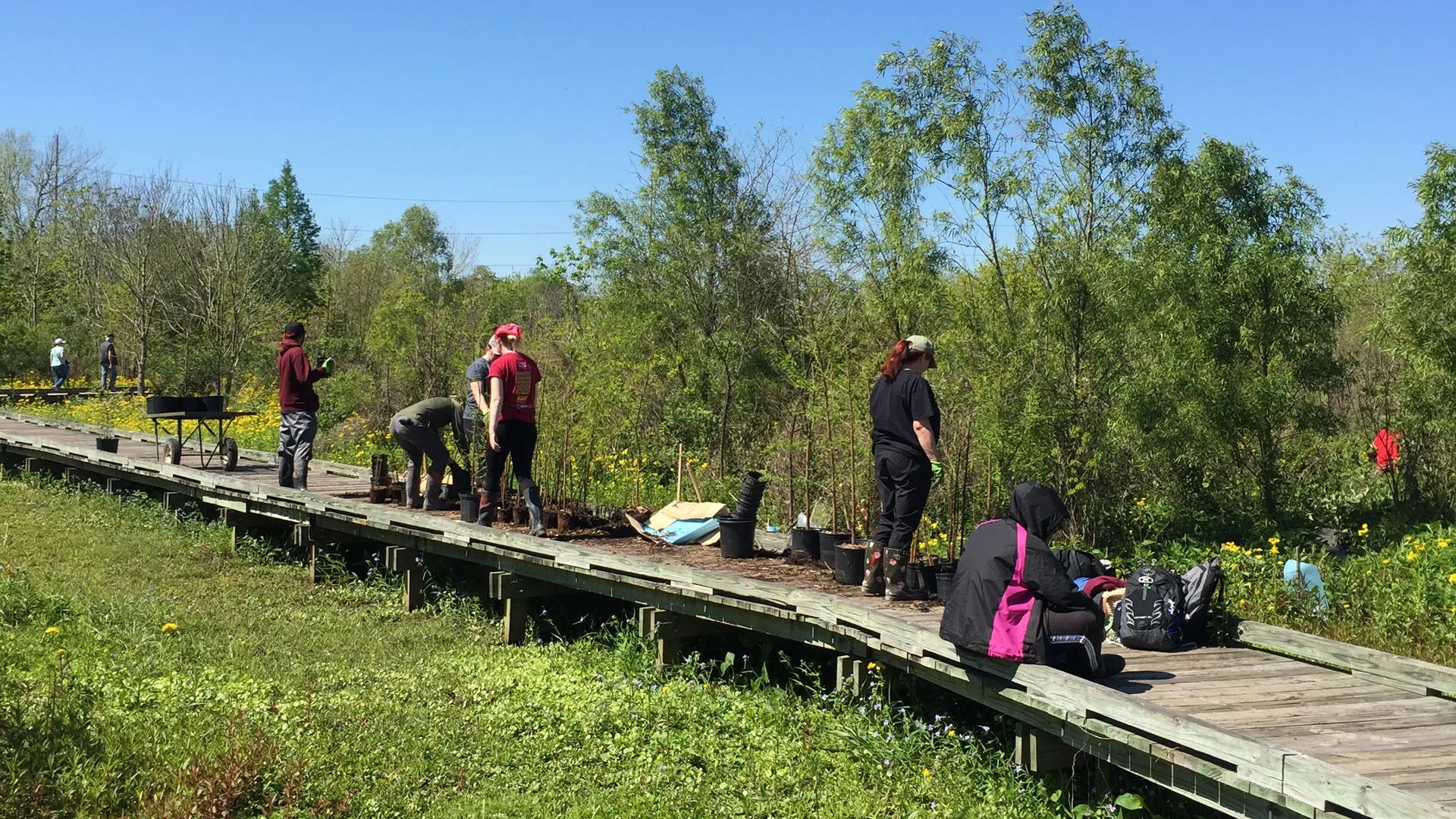 Besucher auf einem Holzsteg durch das Bayou Sauvage National Wildlife Refuge