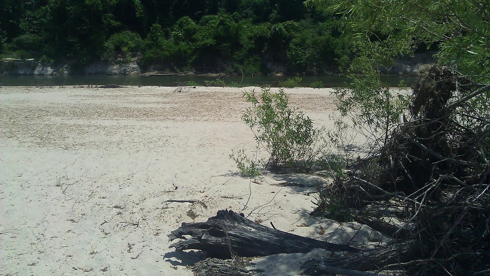 Sandiges Flussufer im Bogue Chitto State Park in Louisiana