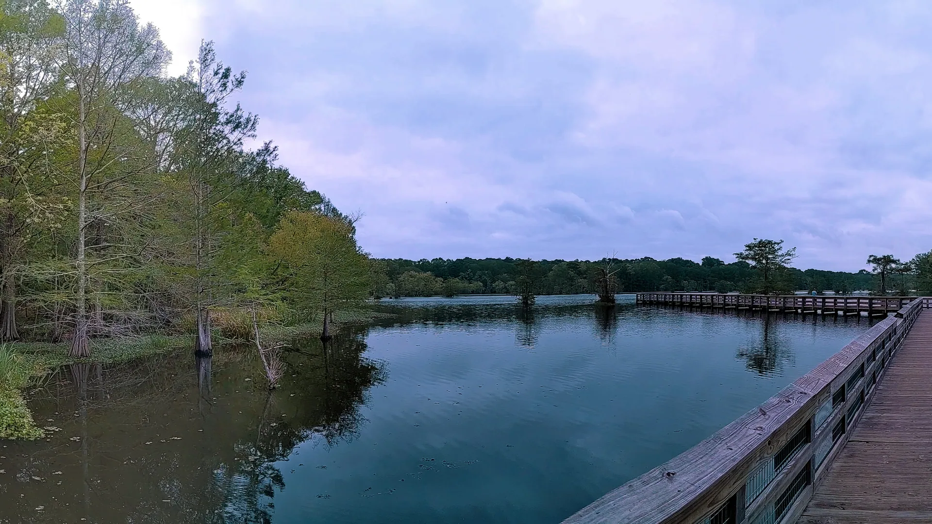Holzsteg führt über den Lake Chicot im Chicot State Park