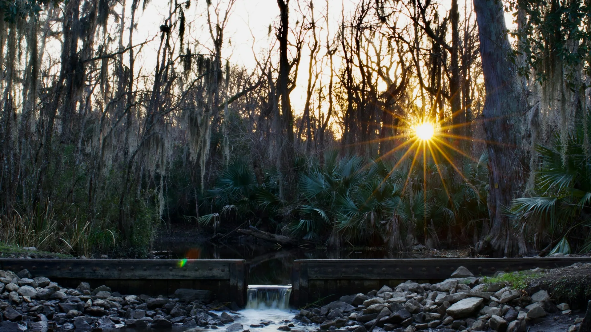 Kleiner Wasserlauf bei tief stehender Sonne im Palmetto Island State Park
