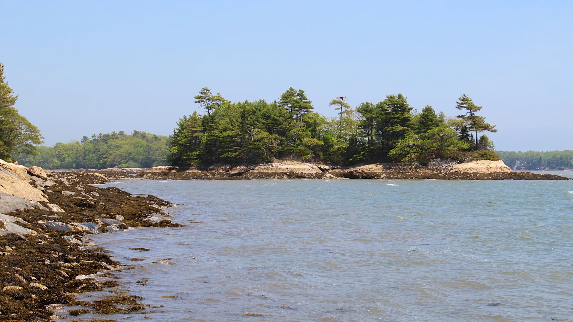 Bewaldete Googins Island vor der Küste des Wolfe’s Neck Woods State Park
