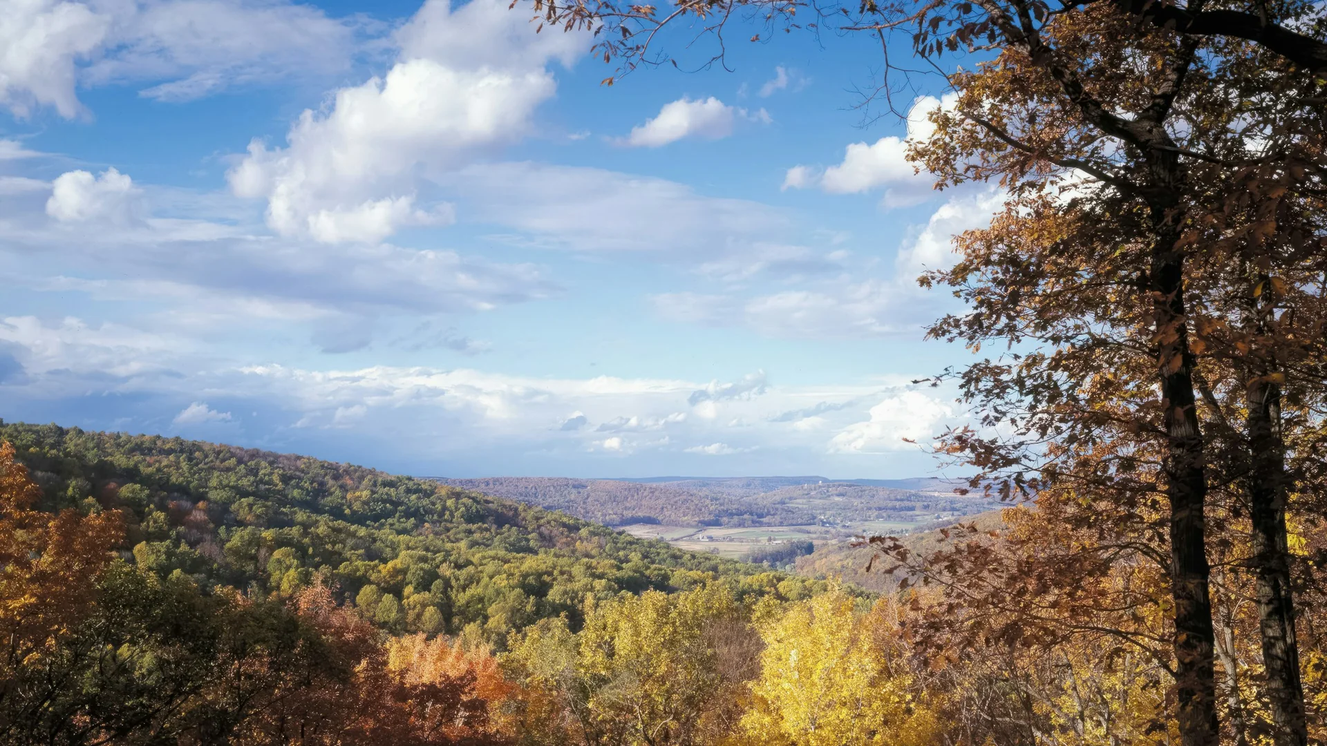Bewaldete Höhenzüge im Catoctin Mountain Park in Maryland
