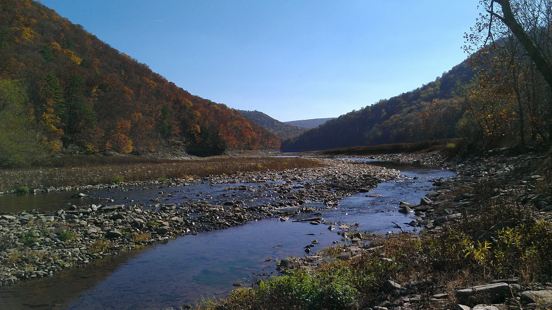 Savage River fließt durch den bewaldeten Savage River State Forest in Westmaryland