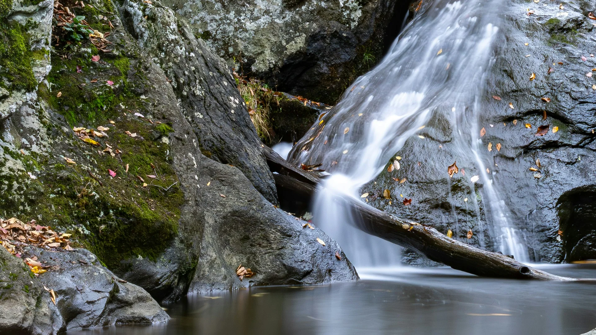 Cunningham Falls stürzt über Felsen durch den herbstlichen Wald in Maryland