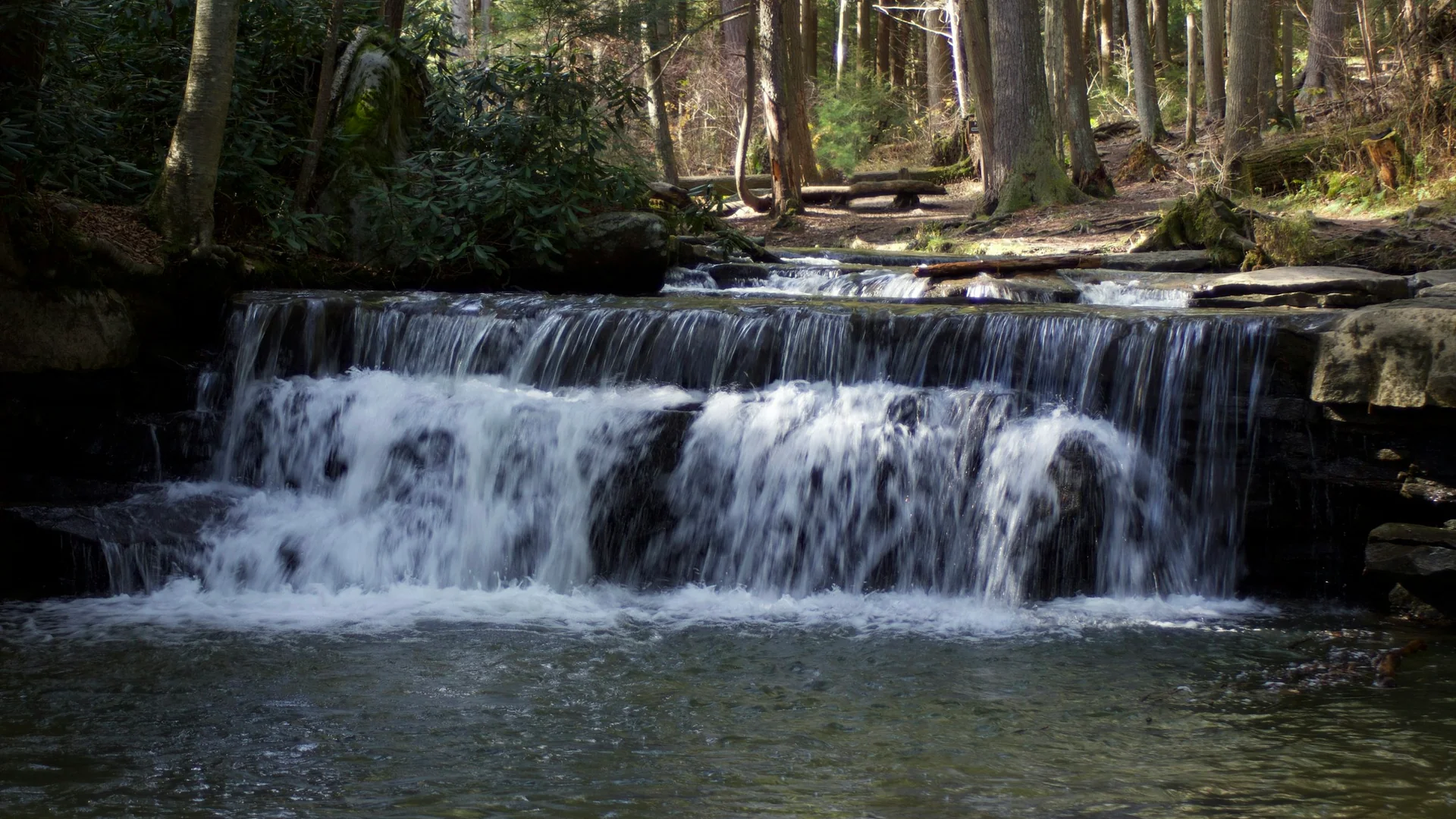 Wasserfall zwischen Felsen und Wald im Swallow Falls State Park in Maryland