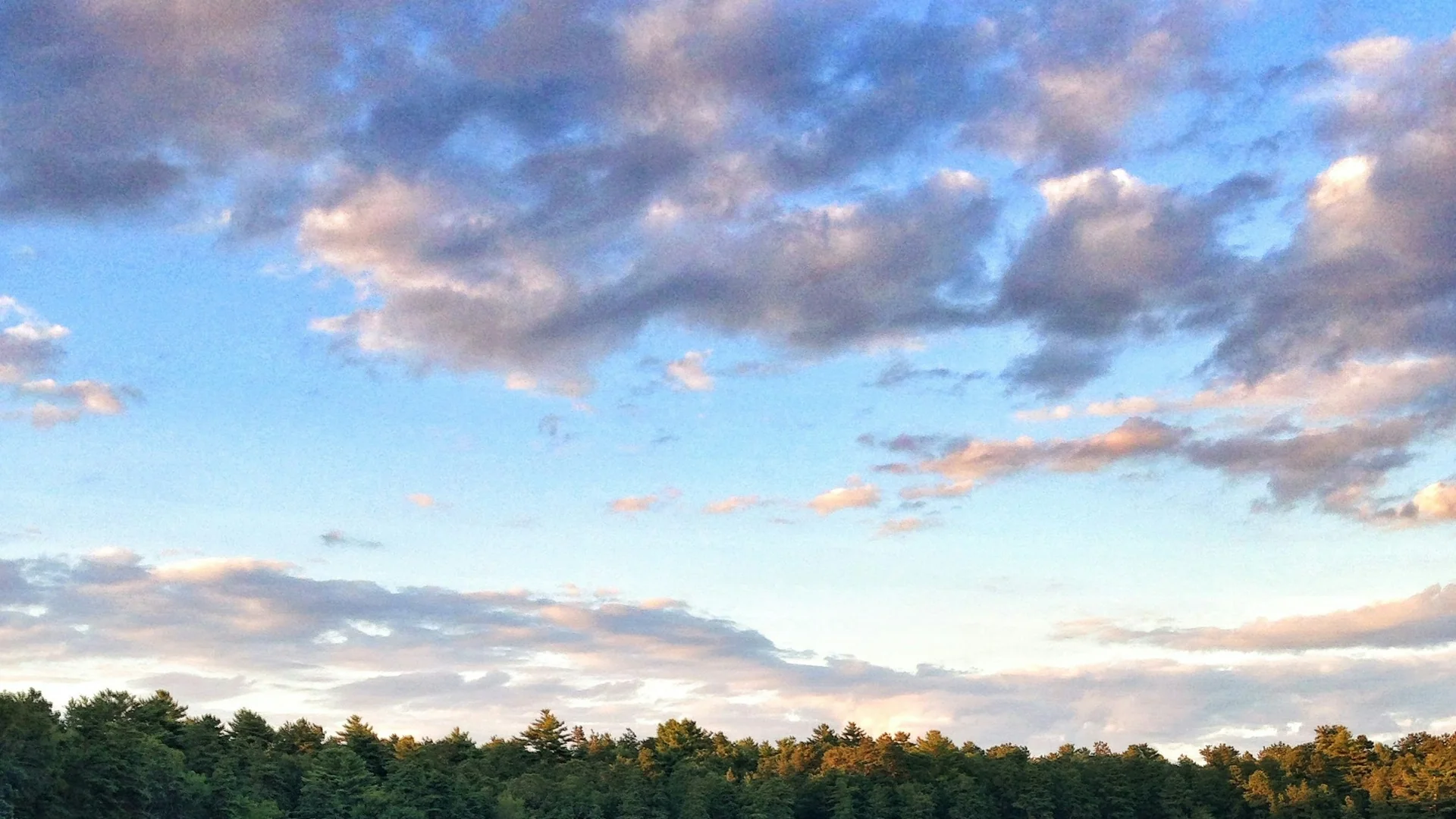Angler an einem bewaldeten Kesselsee im Myles Standish State Forest