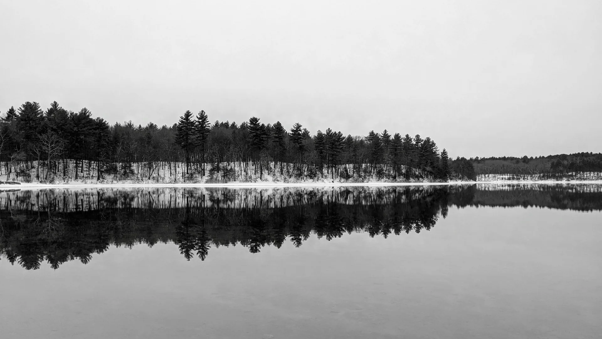 Ruhiger Walden Pond zwischen winterlichen Bäumen bei Concord in Massachusetts