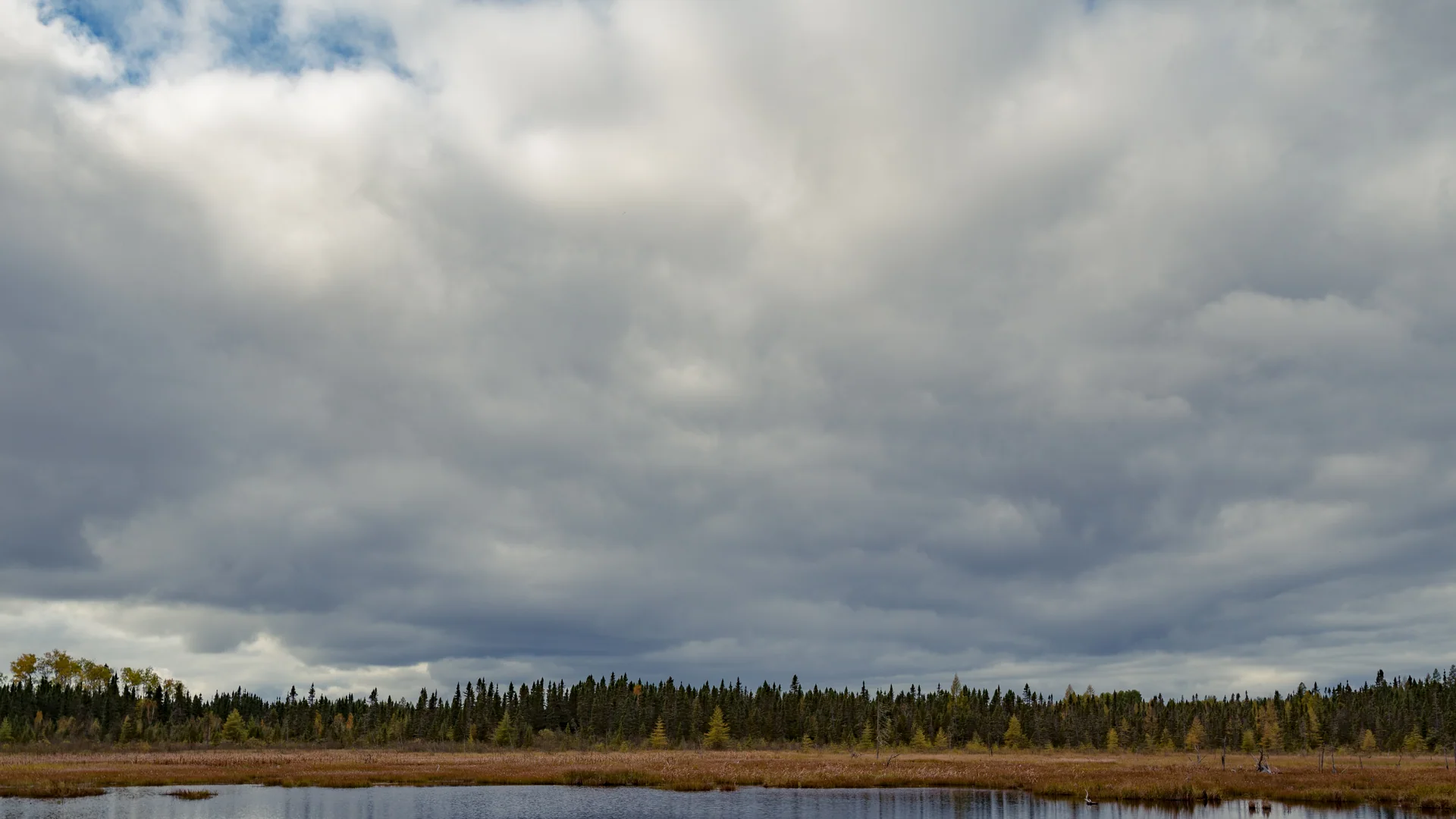 Ruhiger See zwischen borealem Wald im Superior National Forest in Minnesota