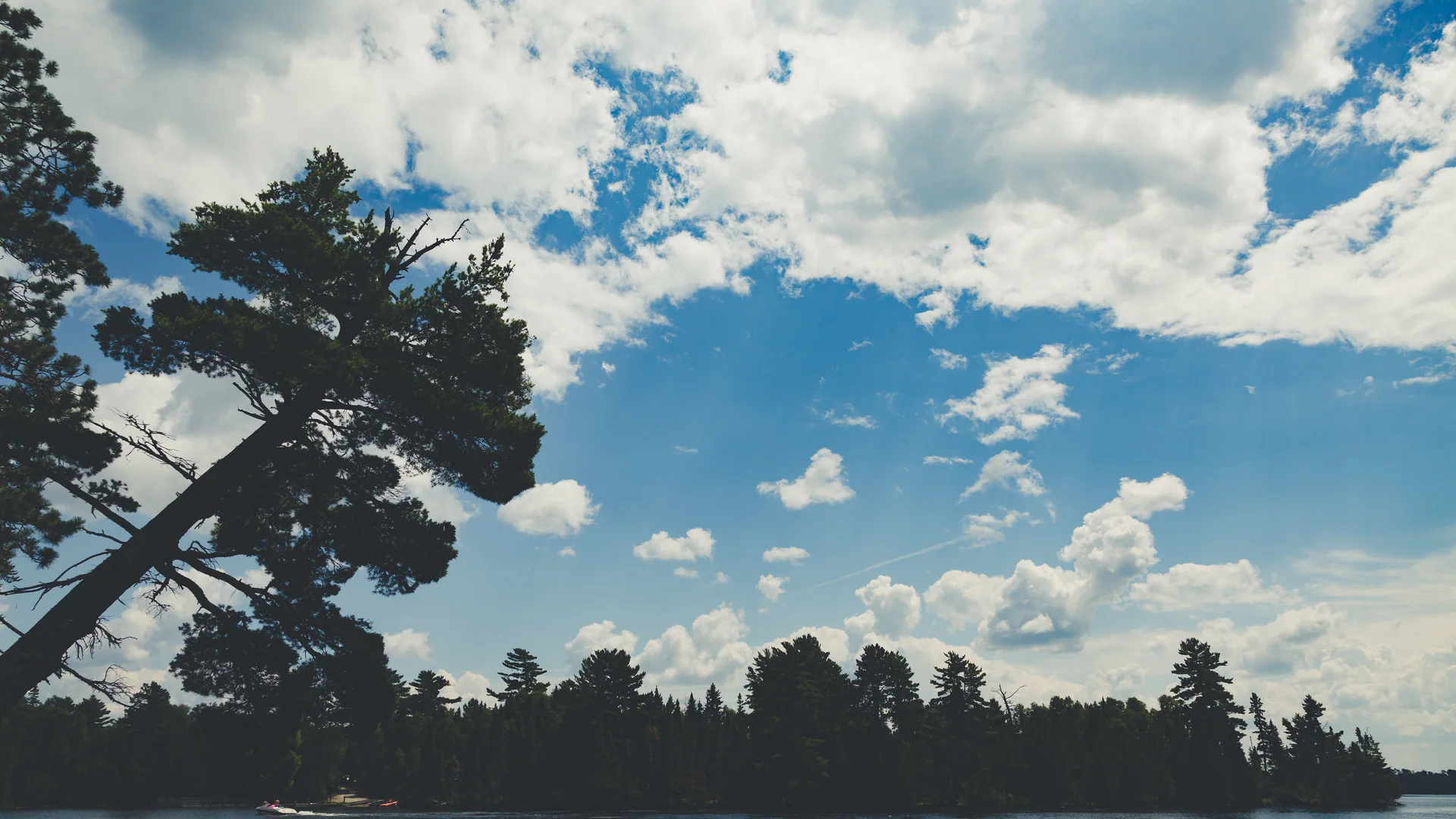 Bear Head Lake zwischen dichtem Nordwald im gleichnamigen State Park bei Ely