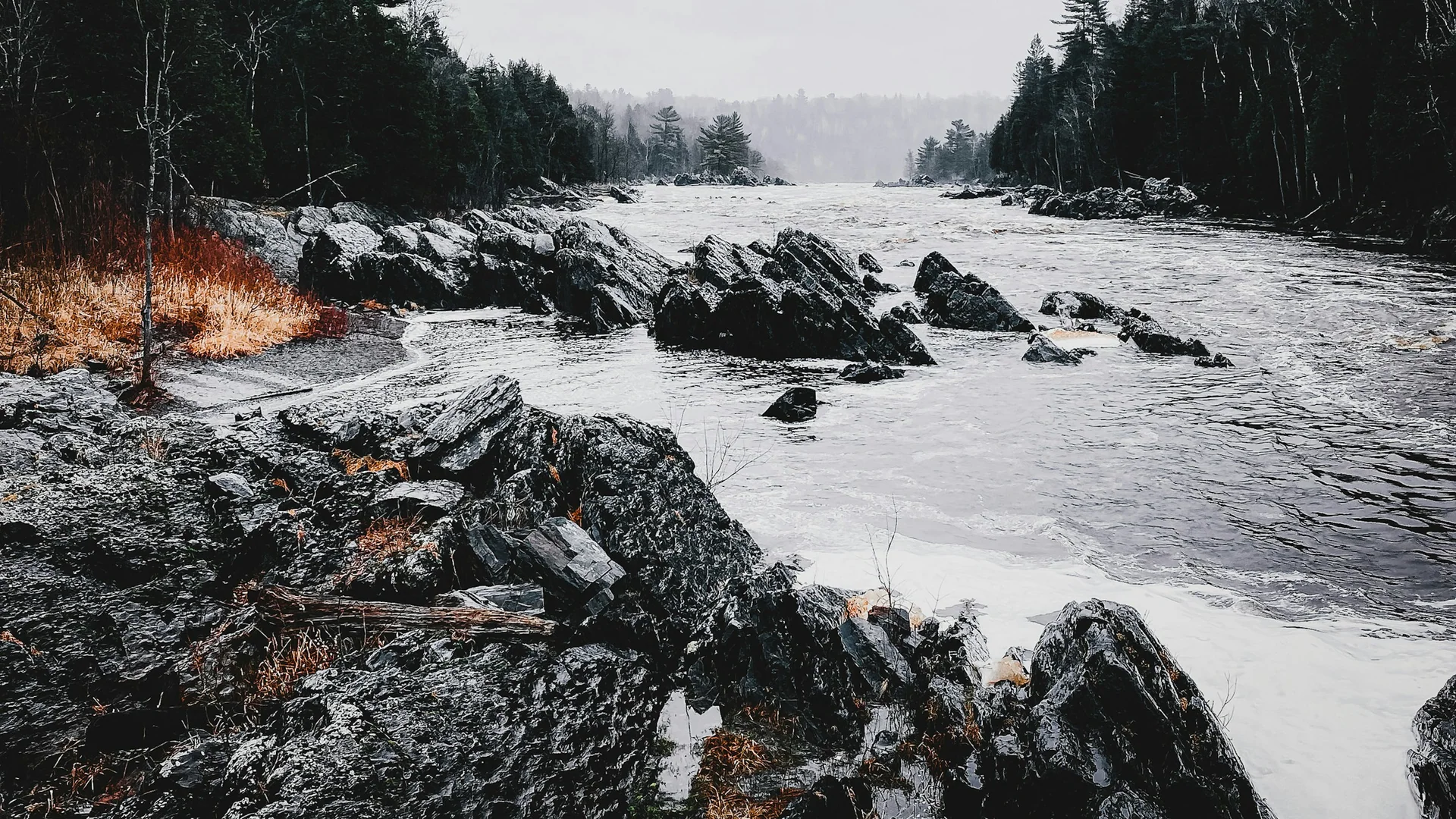 Felsiger St. Louis River zwischen Waldhängen im Jay Cooke State Park