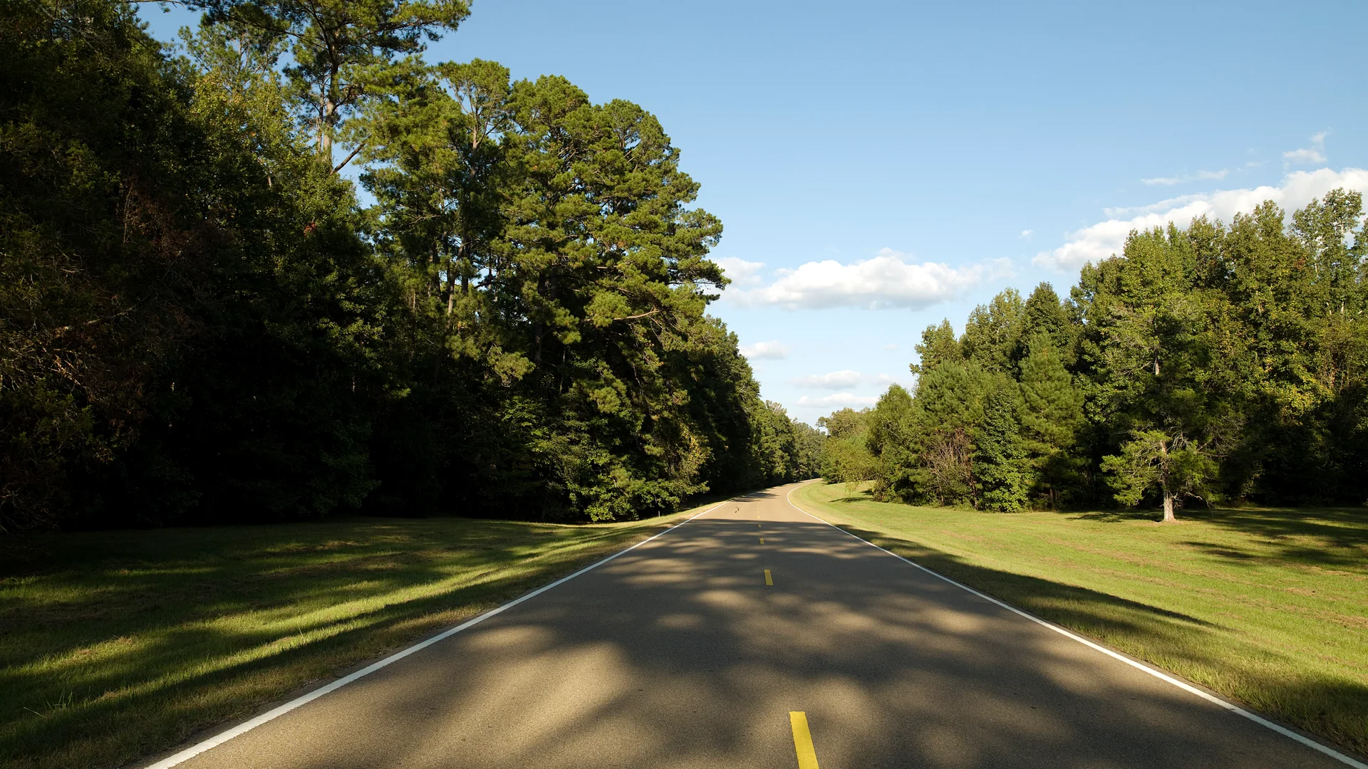 Baumgesäumter Abschnitt des Natchez Trace Parkway in Mississippi