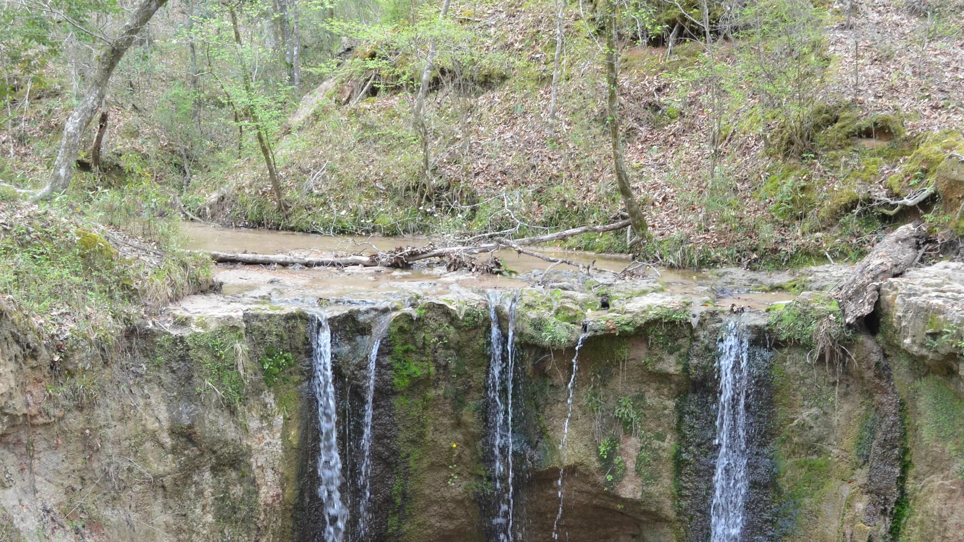 Schmaler Wasserfall fällt über eine bewaldete Felskante in der Clark Creek Natural Area