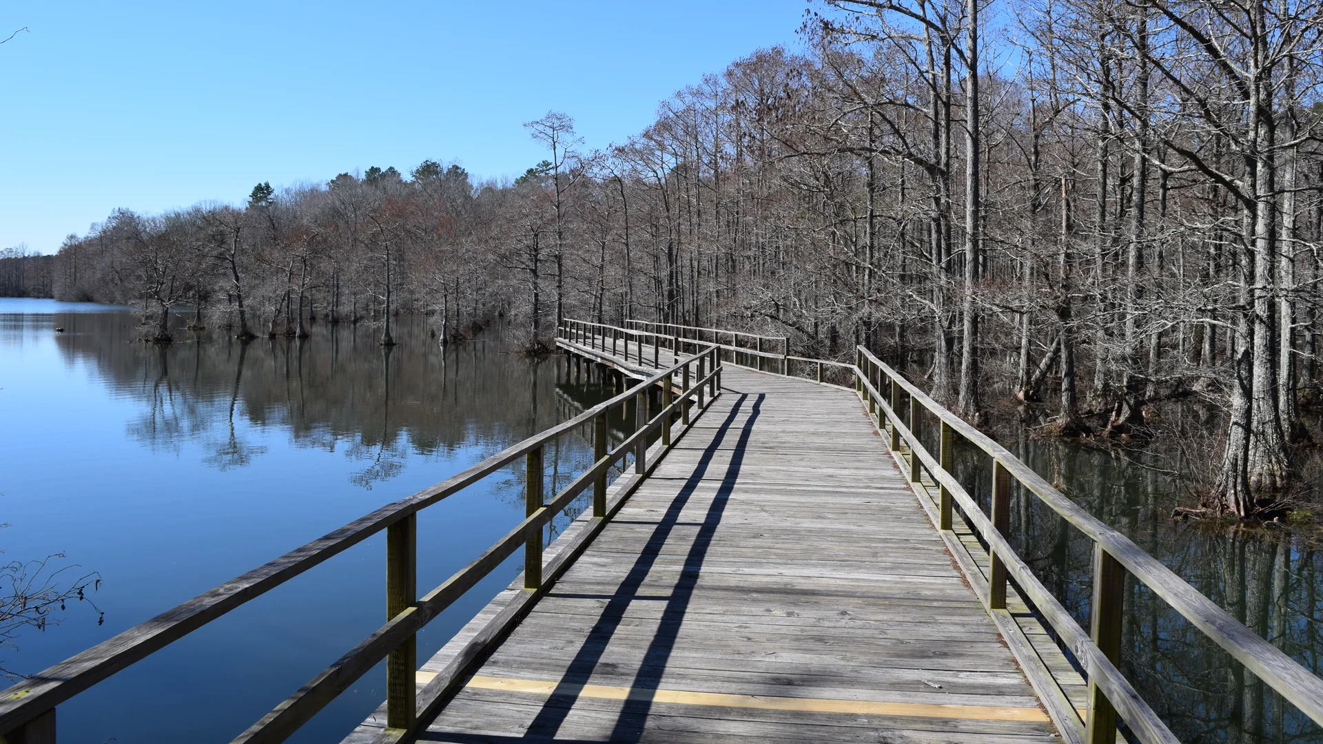 Holzsteg führt am ruhigen Spring Lake durch den Wall Doxey State Park in Mississippi