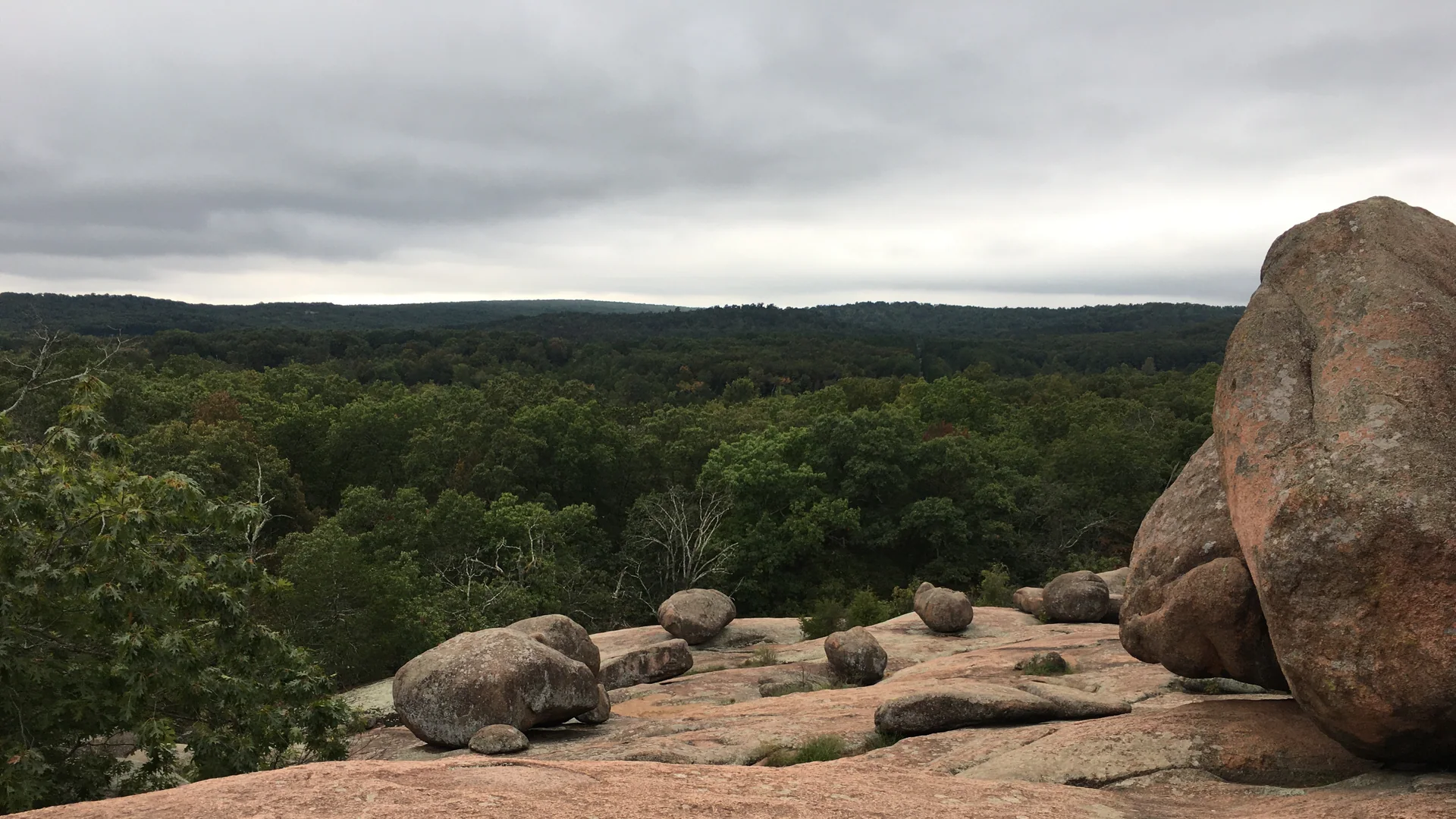 Große rosafarbene Granitblöcke über der bewaldeten Landschaft im Elephant Rocks State Park