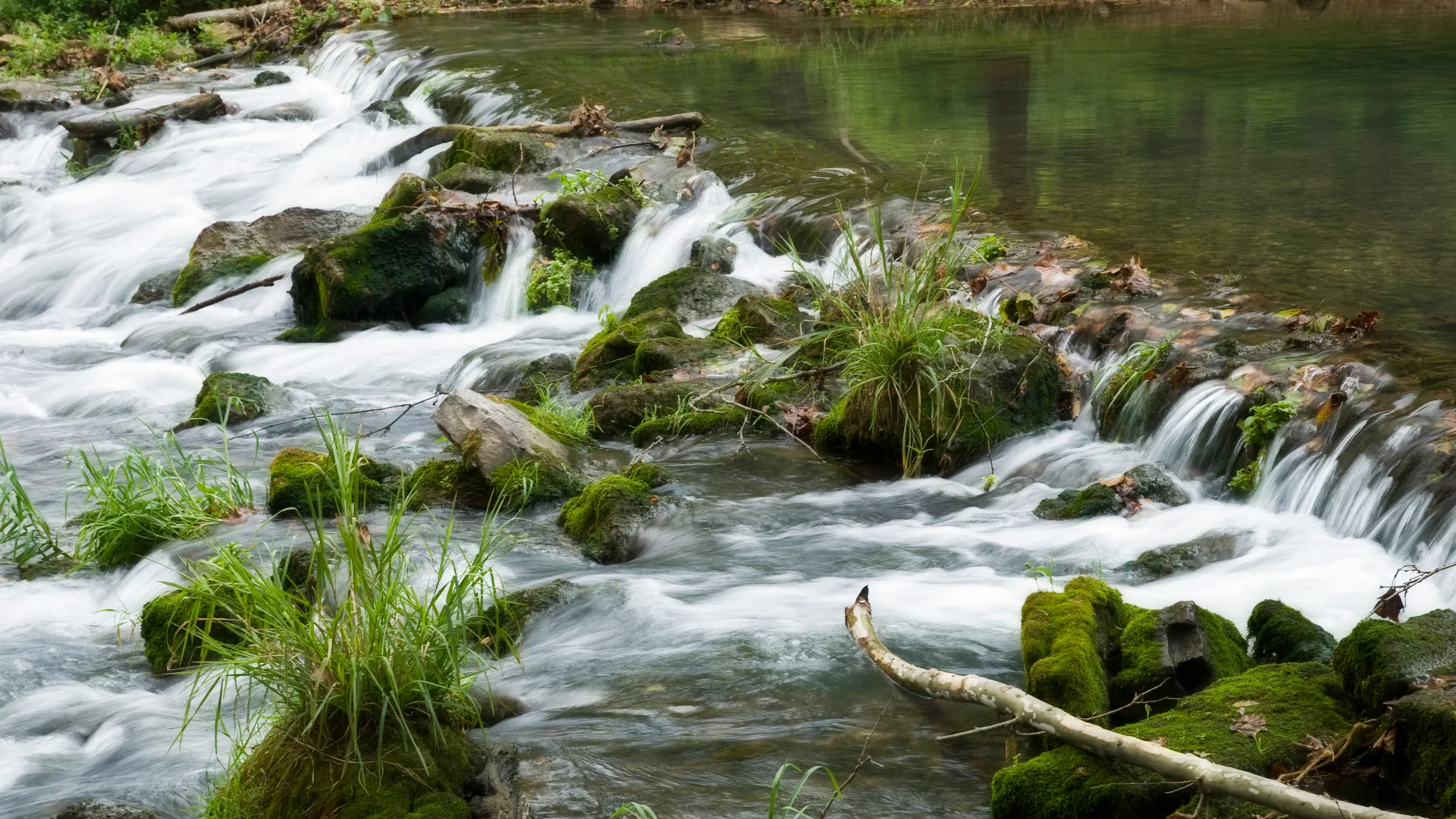 Klares Wasser fließt über moosige Steine im Roaring River State Park in Missouri