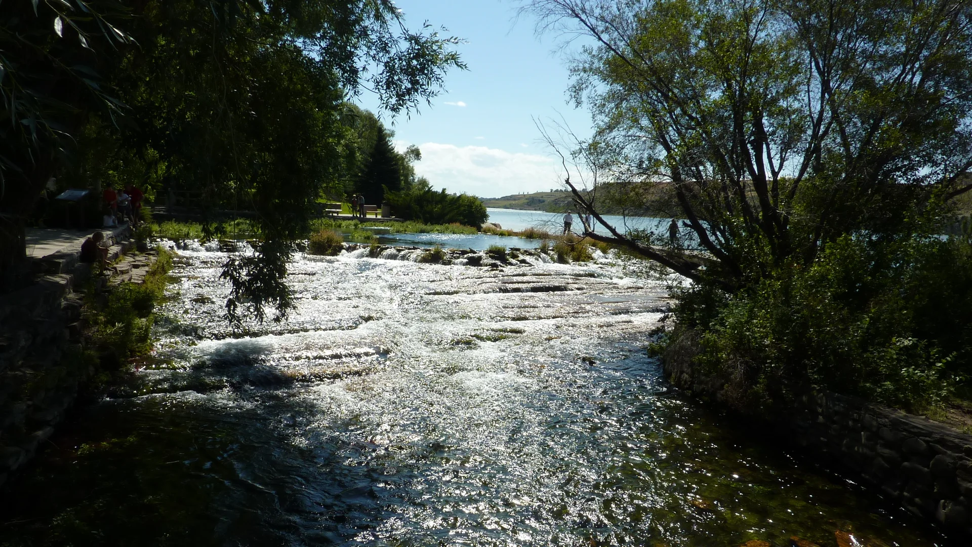 Quellwasser strömt zwischen Bäumen zum Missouri River im Giant Springs State Park
