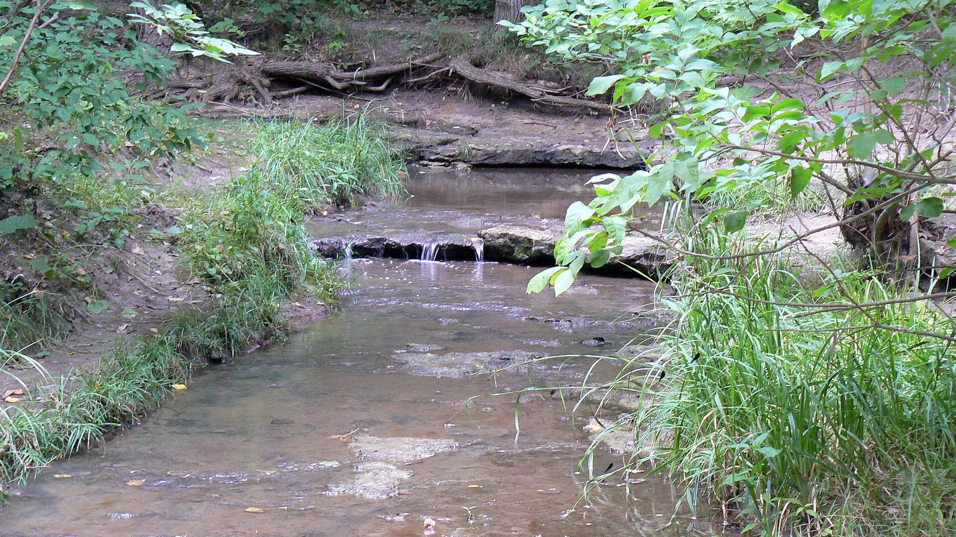 Stone Creek fließt über kleine Felsstufen durch den Wald im Platte River State Park