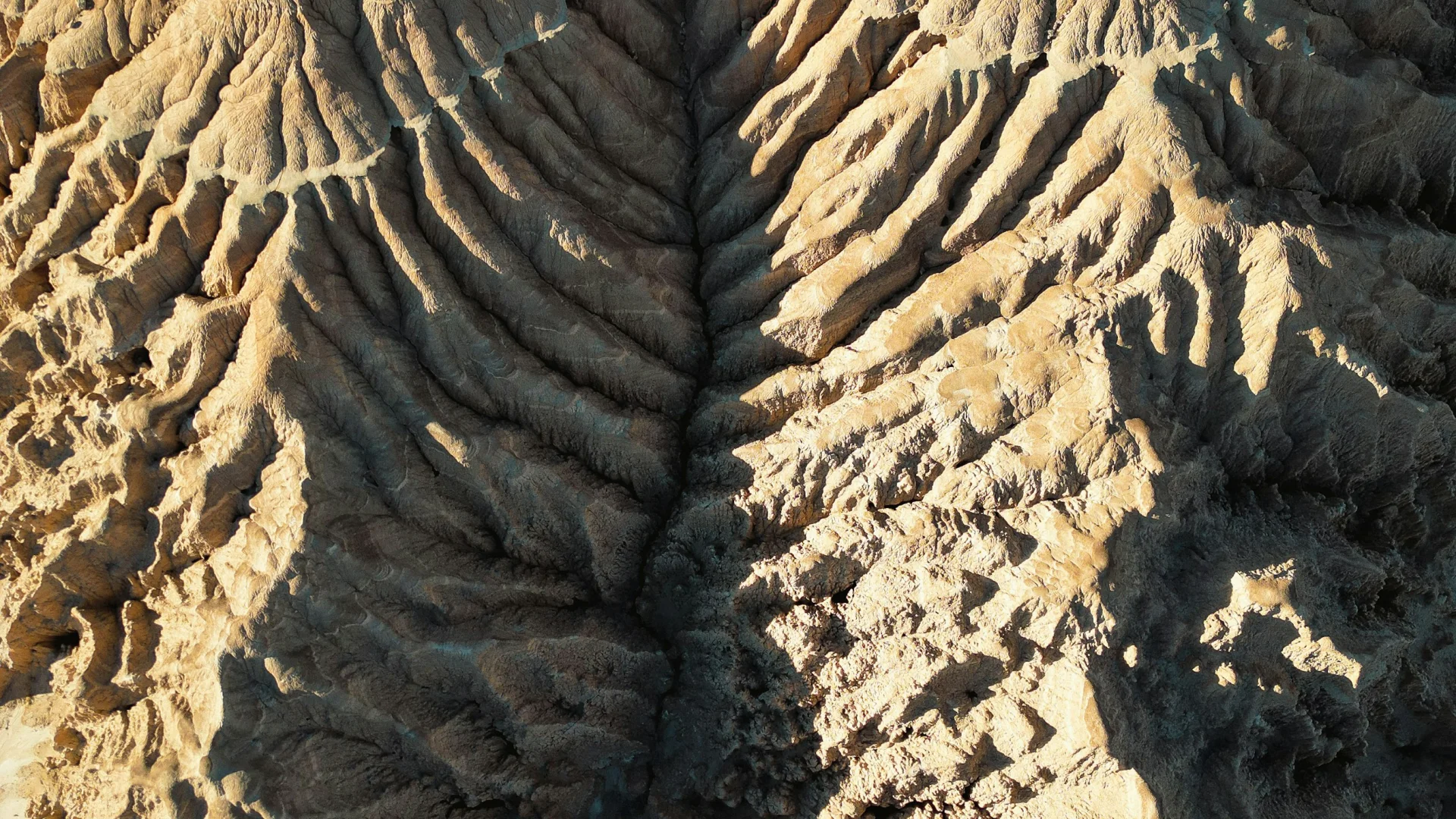 Von Licht und Schatten betonte Erosionsrinnen im Cathedral Gorge State Park