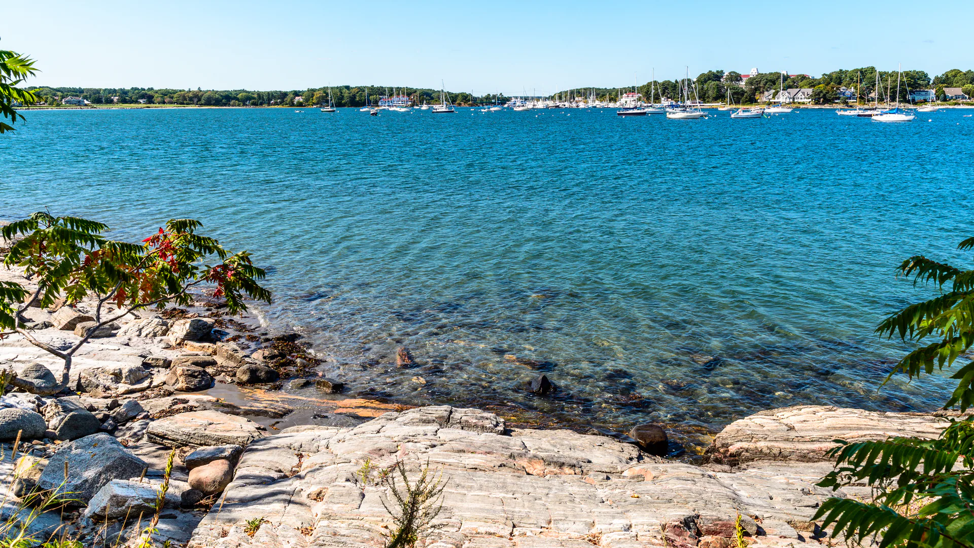 Felsige Gezeitenküste und blaues Wasser im Odiorne Point State Park