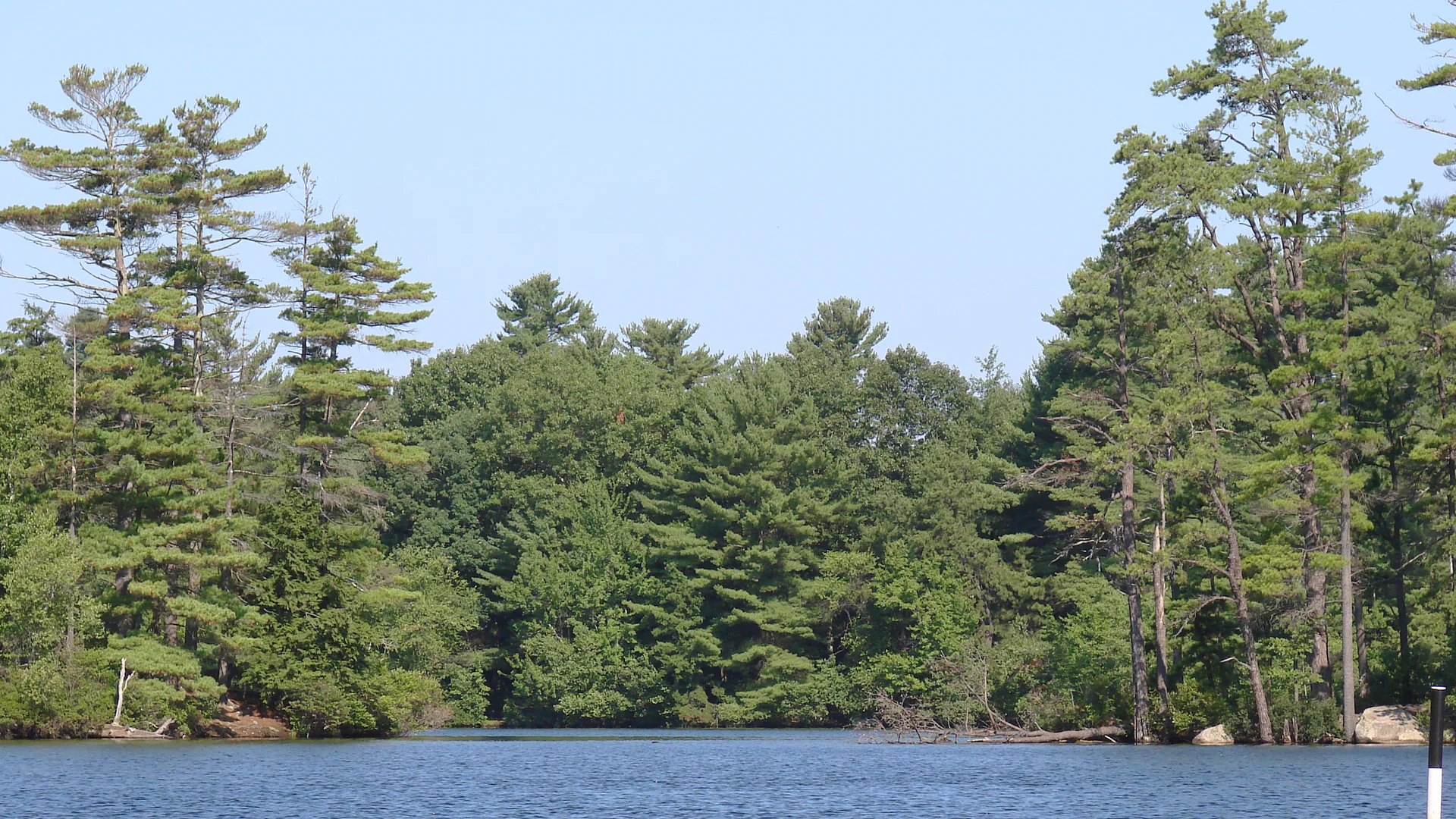 Ruhiges Wasser und bewaldete Ufer am Pawtuckaway Lake im State Park