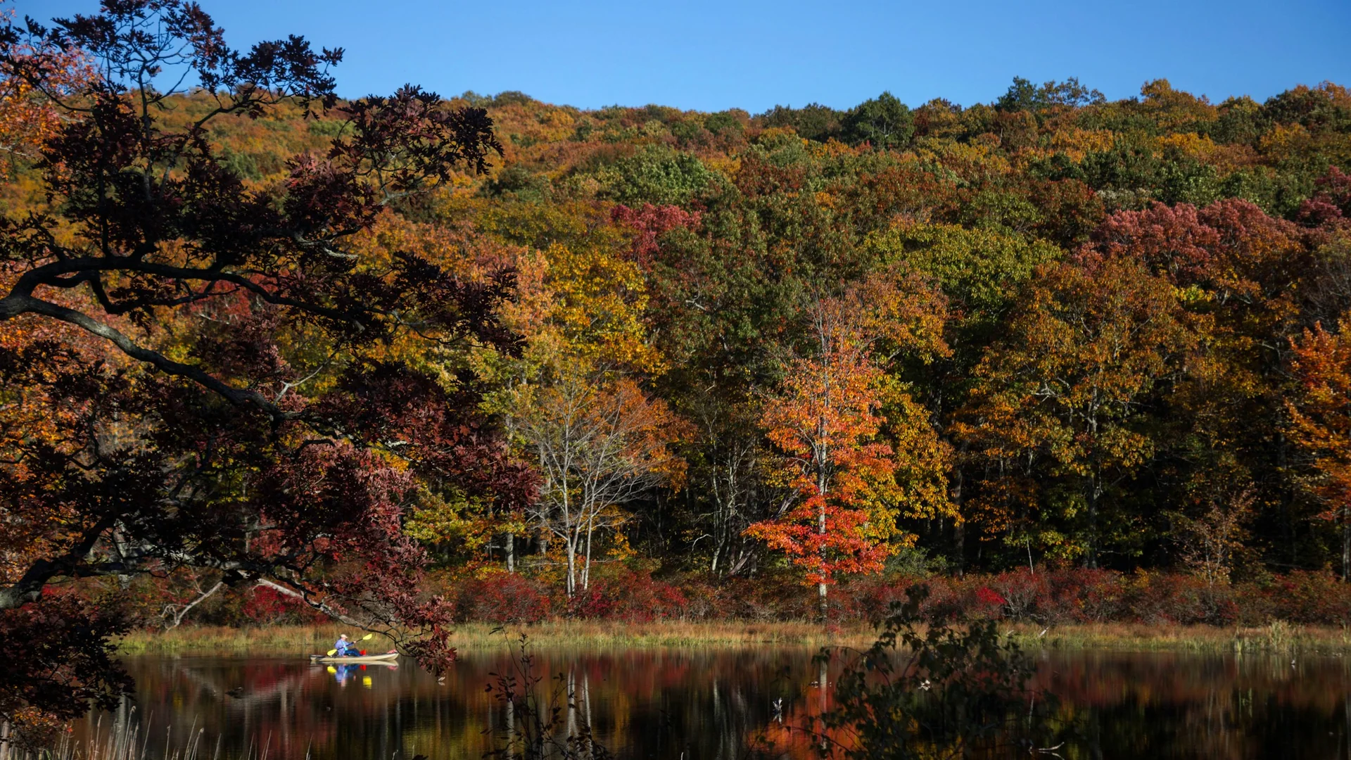 Herbstlicher Wald spiegelt sich in einem See im High Point State Park