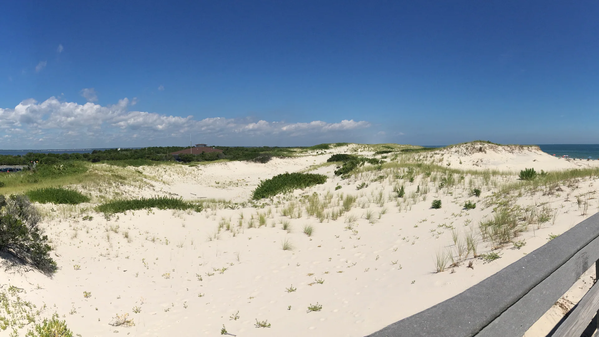 Helle Dünen, Strandvegetation und Atlantik im Island Beach State Park