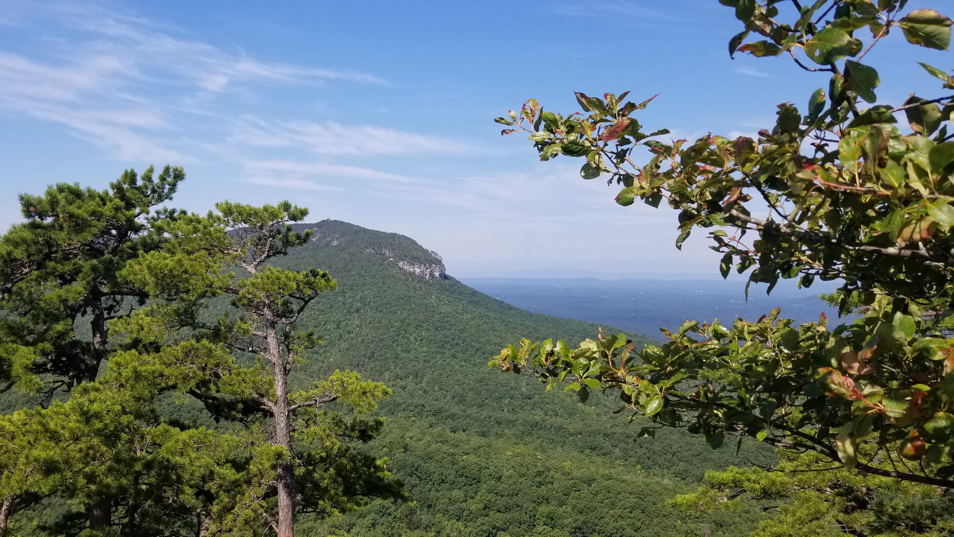 Blick vom Hanging Rock über grüne Wälder und die markante Felskuppe im Piedmont von North Carolina