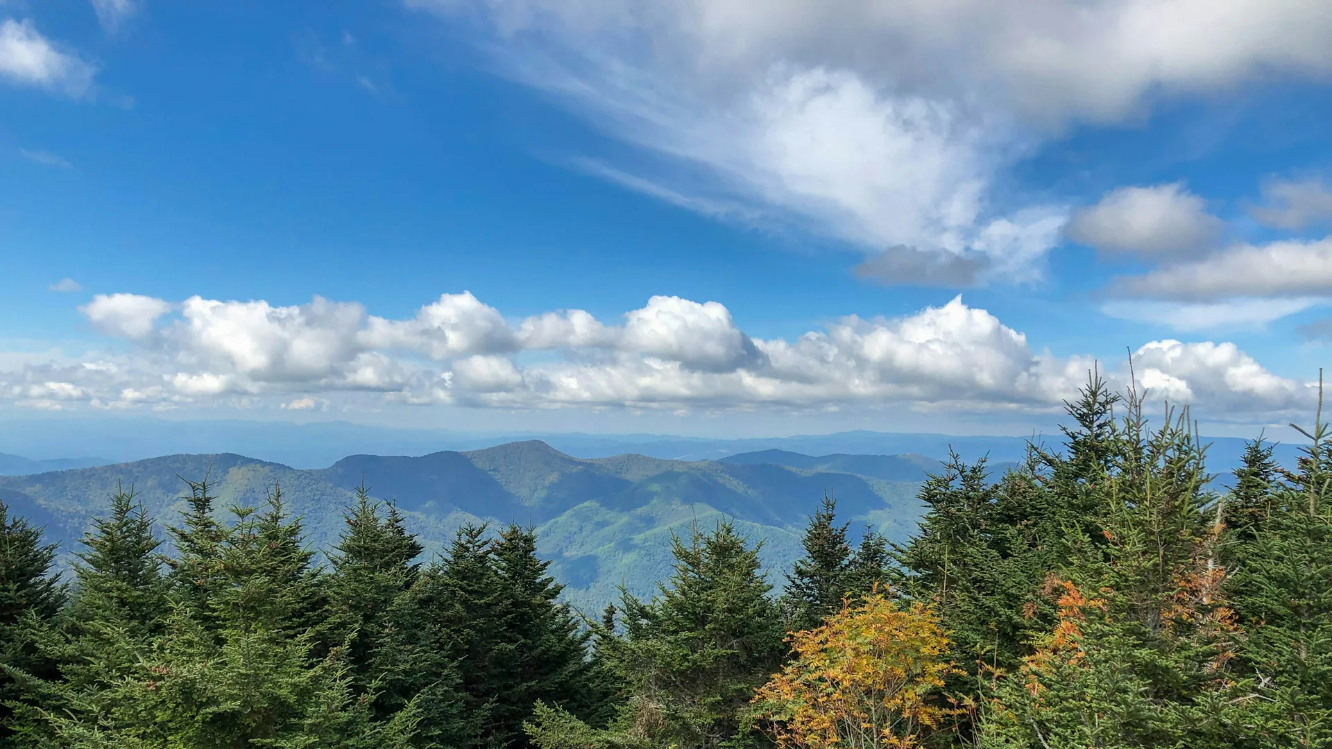 Weiter Blick vom Mount Mitchell über bewaldete Bergrücken unter blauem Himmel