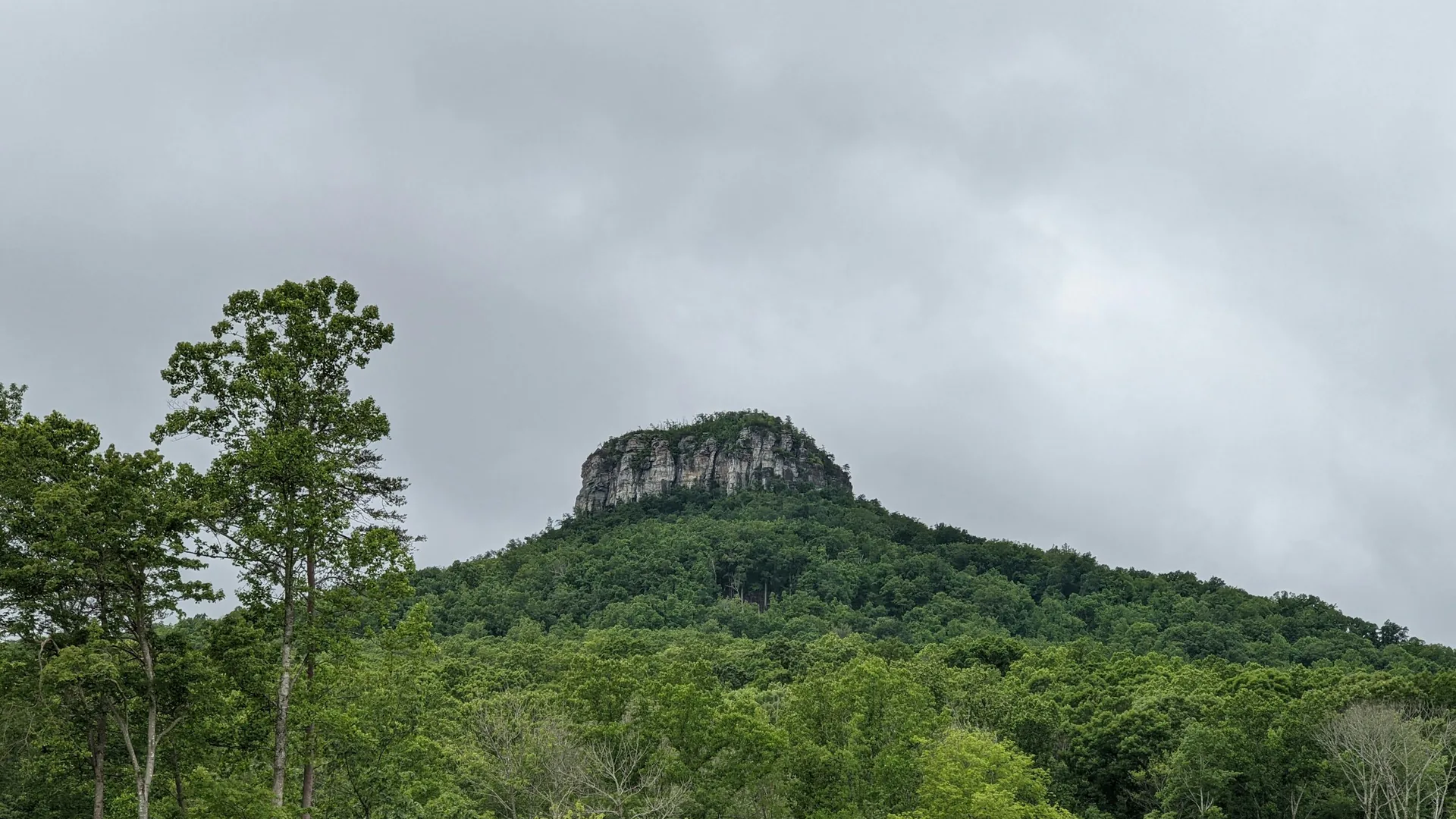 Die markante Quarzitkuppe des Pilot Mountain erhebt sich über dichtem grünen Wald