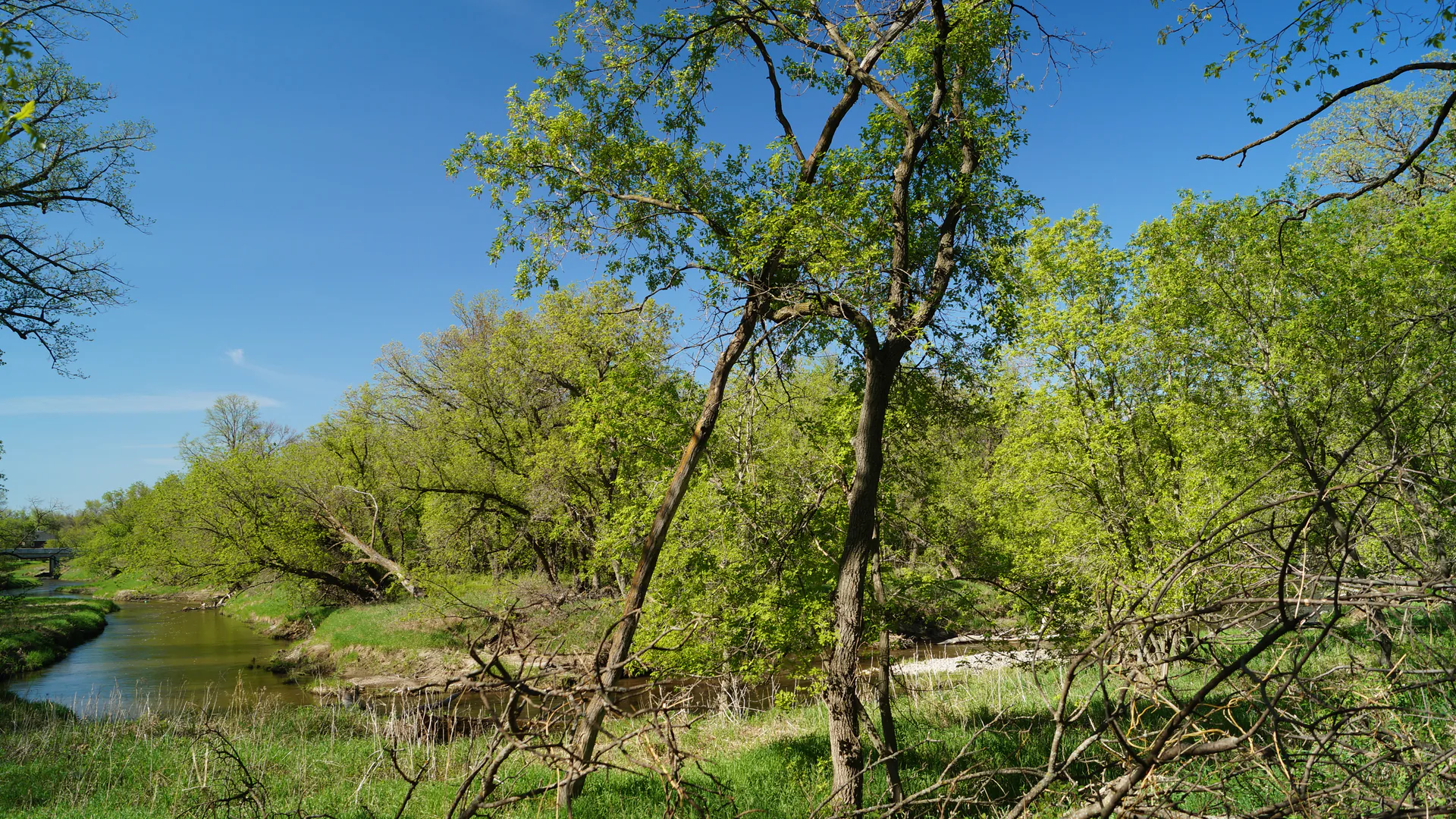 Turtle River fließt zwischen grünen Laubbäumen durch den Turtle River State Park im Osten North Dakotas