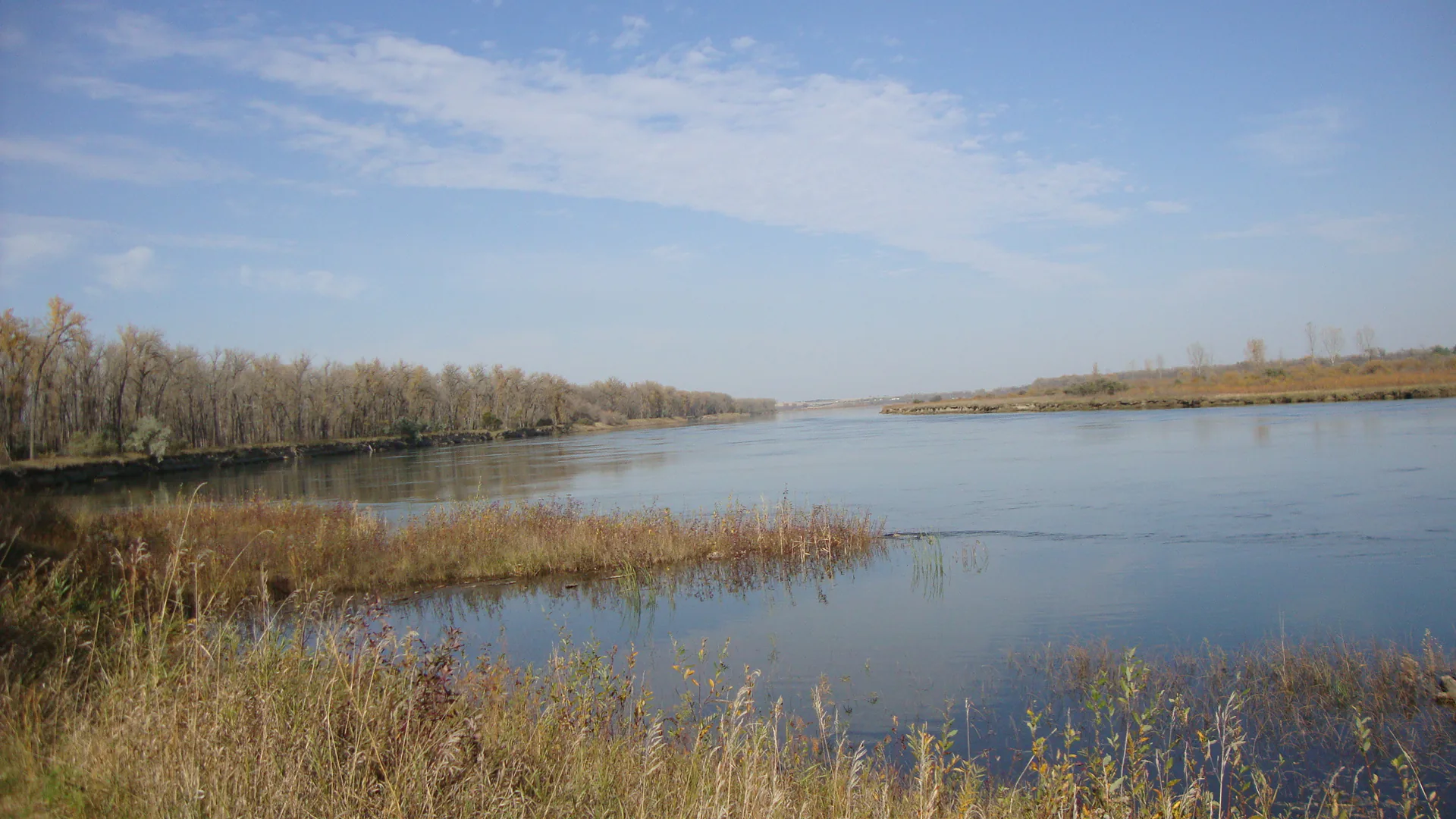 Ruhiger Missouri River mit Auenwald und Prärieufer im Cross Ranch State Park