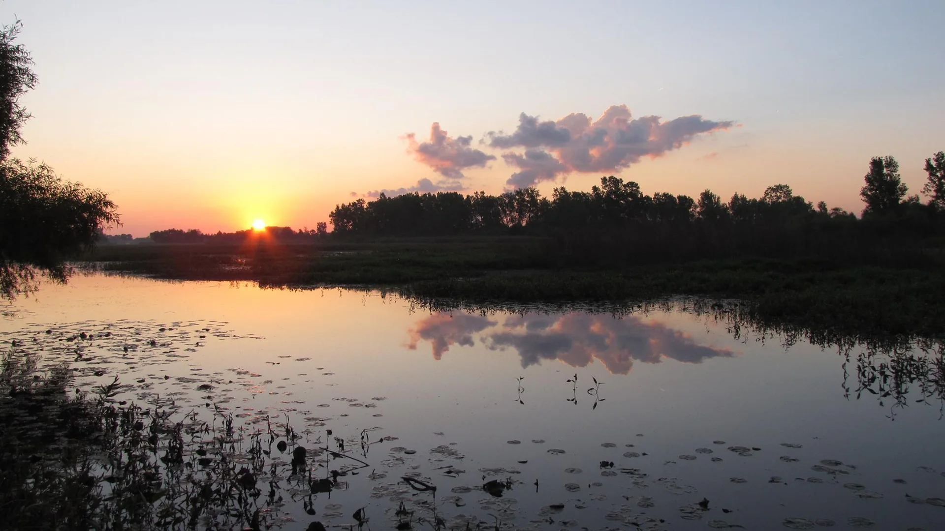 Sonnenaufgang über Marschflächen und ruhigem Wasser im Ottawa National Wildlife Refuge am Lake Erie