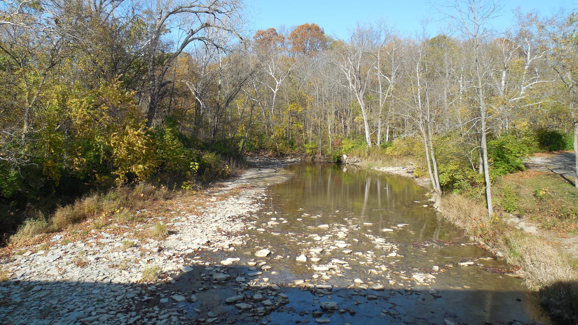 Blick von der überdachten Brücke auf Four Mile Creek und herbstlichen Wald bei Hueston Woods