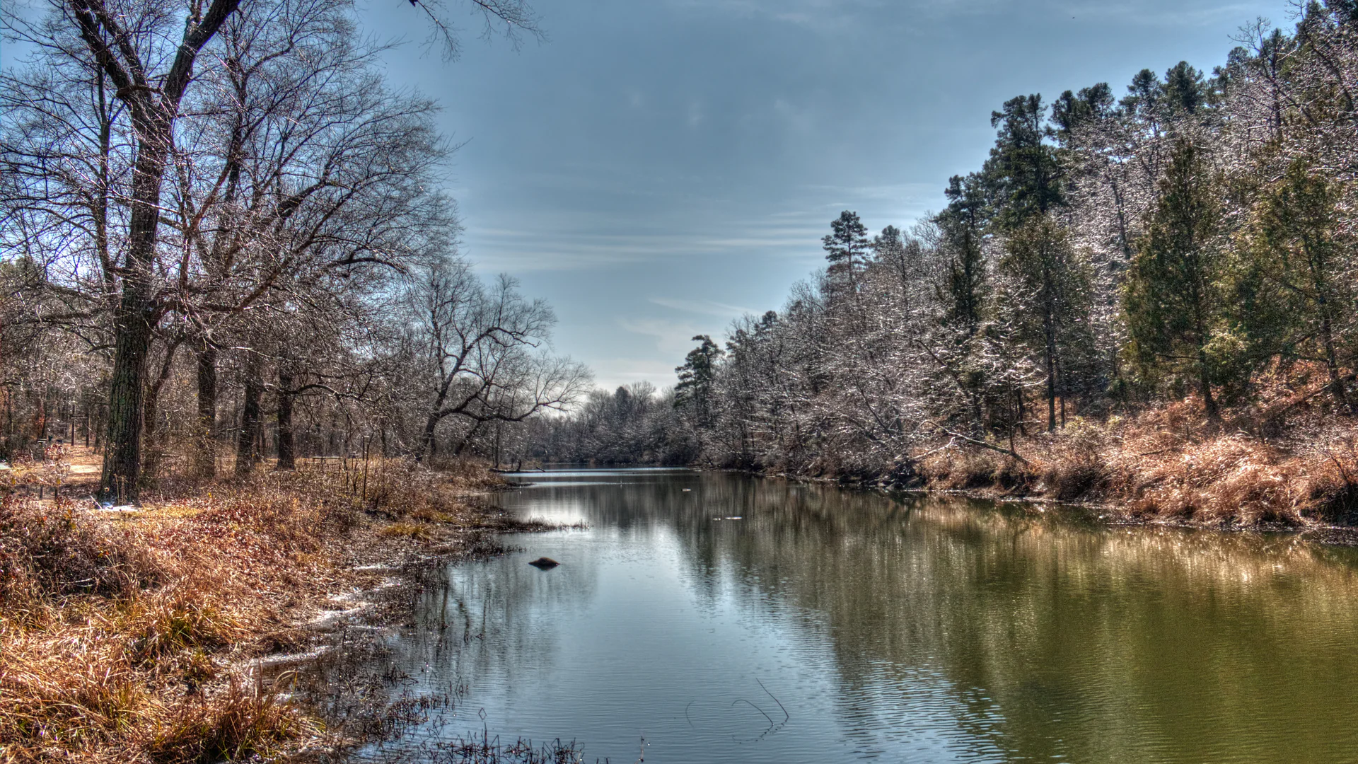 Ruhiger Fourche Maline Creek zwischen bewaldeten Ufern im Robbers Cave State Park