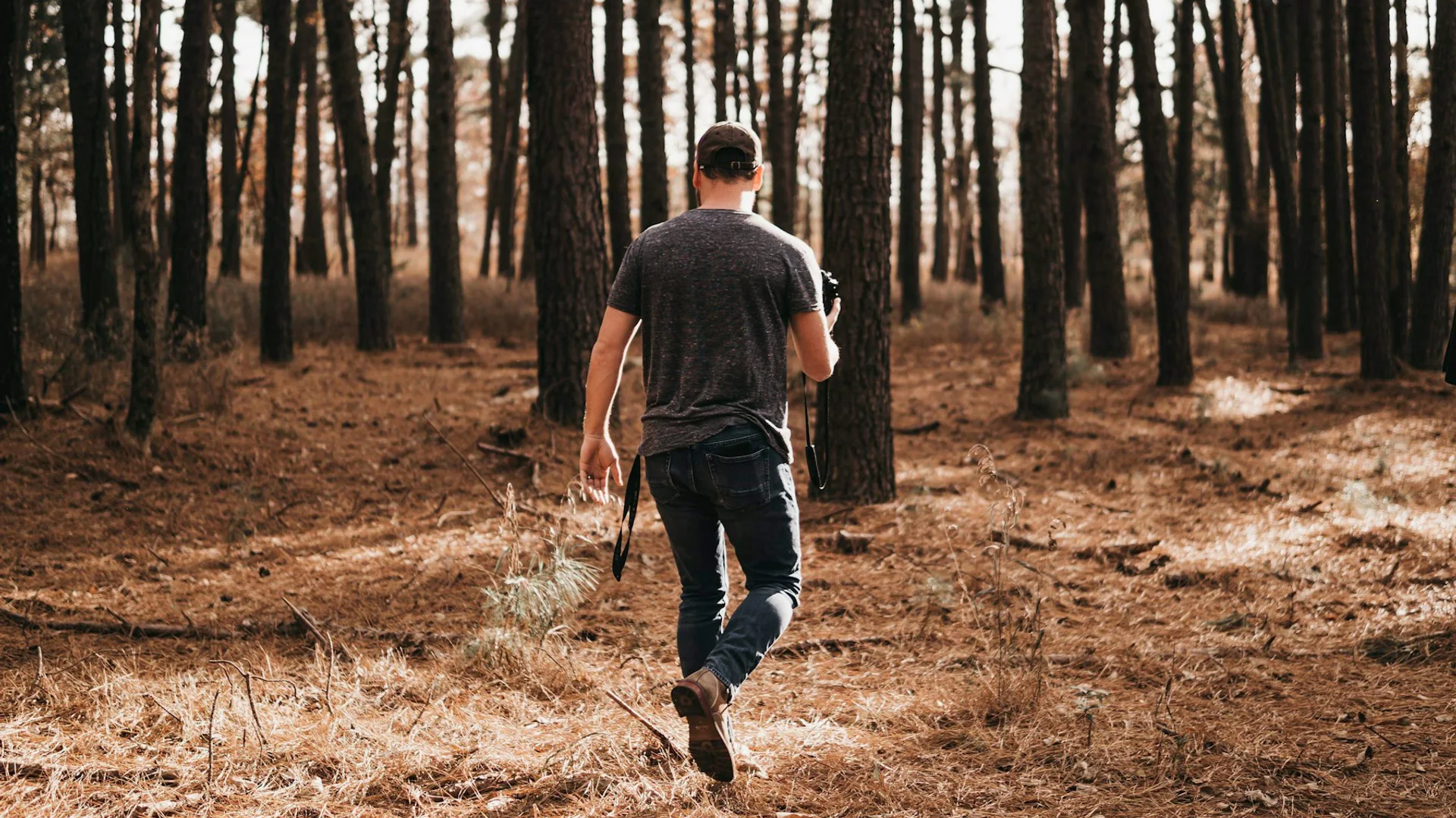 Wanderer zwischen hohen Kiefern im Sequoyah State Park in Oklahoma