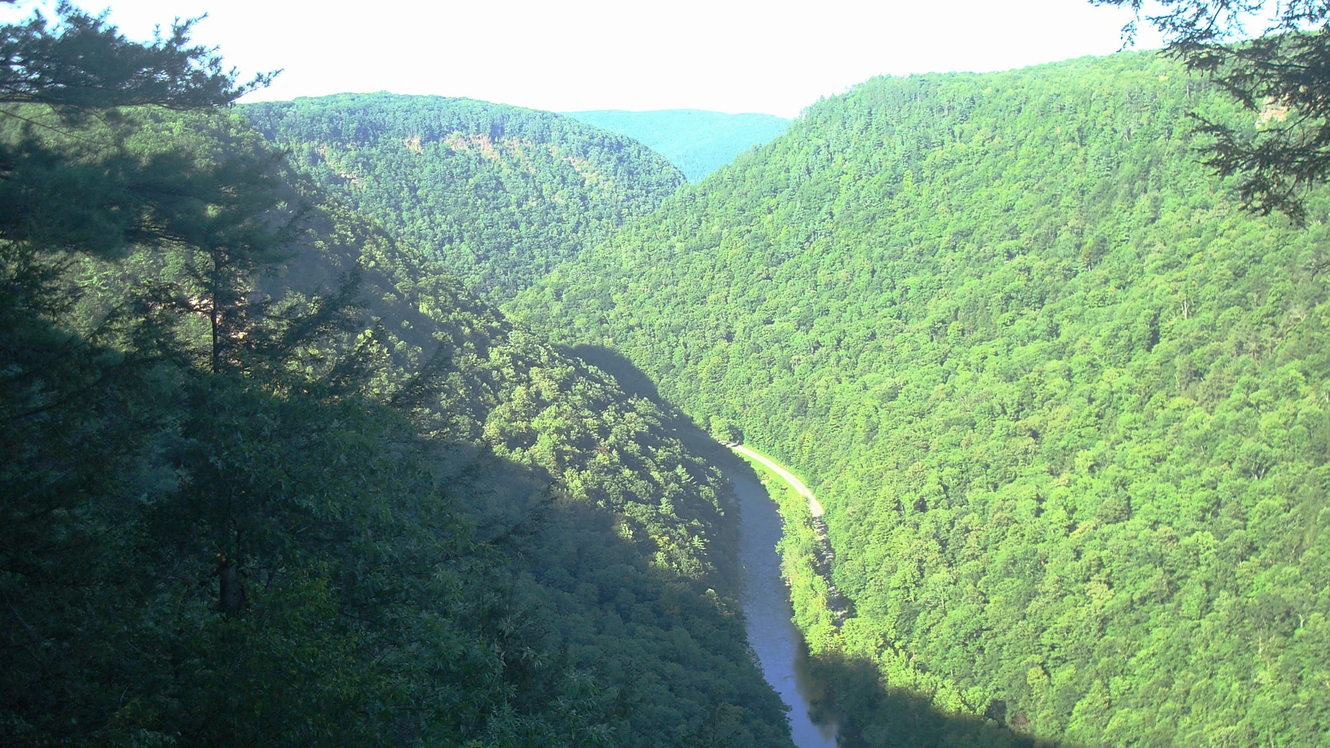 Bewaldete Pine Creek Gorge mit Fluss und steilen Hängen vom Colton Point State Park