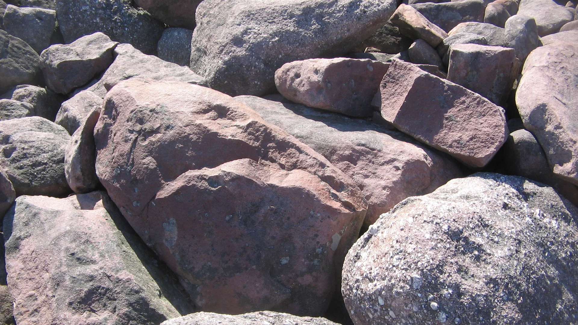 Große kantige Felsblöcke im Boulder Field des Hickory Run State Park