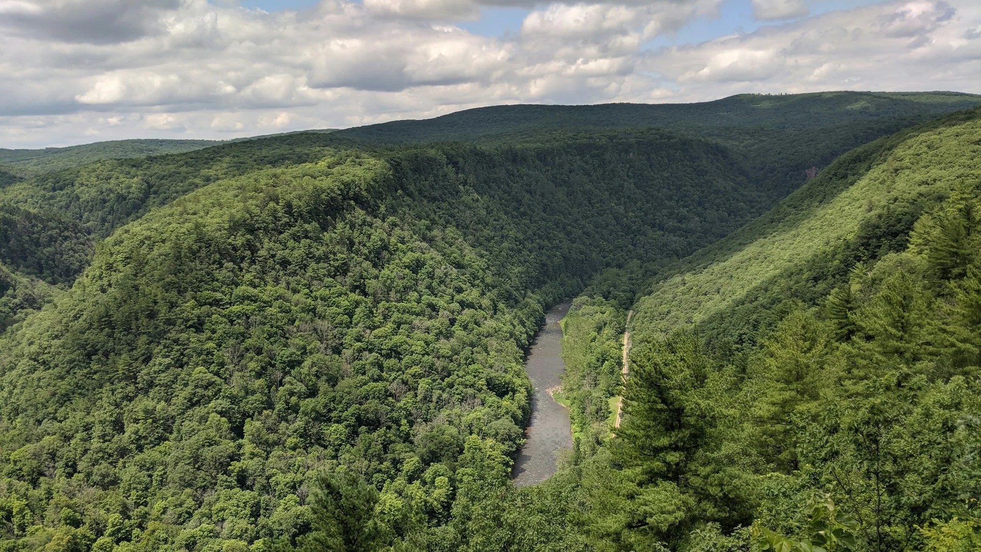 Pine Creek windet sich tief unter den bewaldeten Hängen am Leonard Harrison State Park