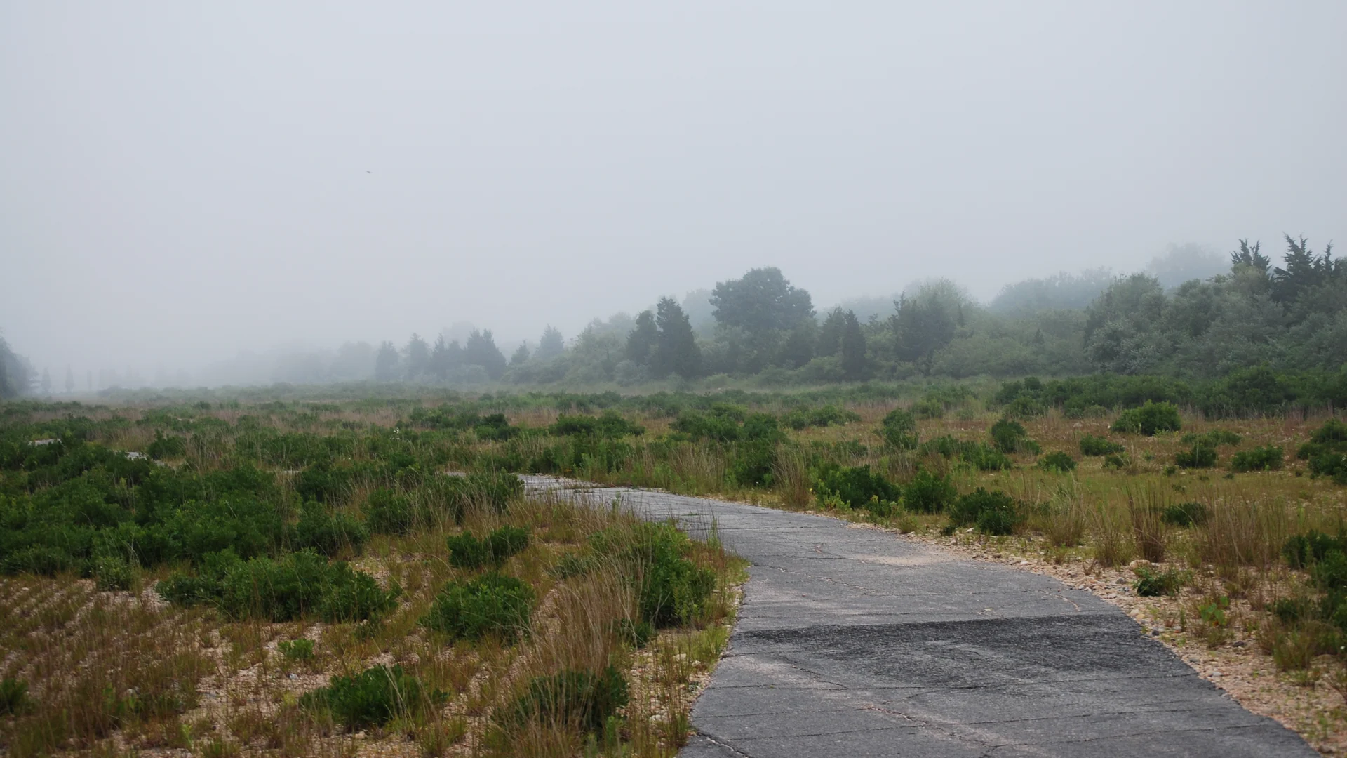 Nebeliger Weg durch die offenen Küstenflächen des Ninigret National Wildlife Refuge