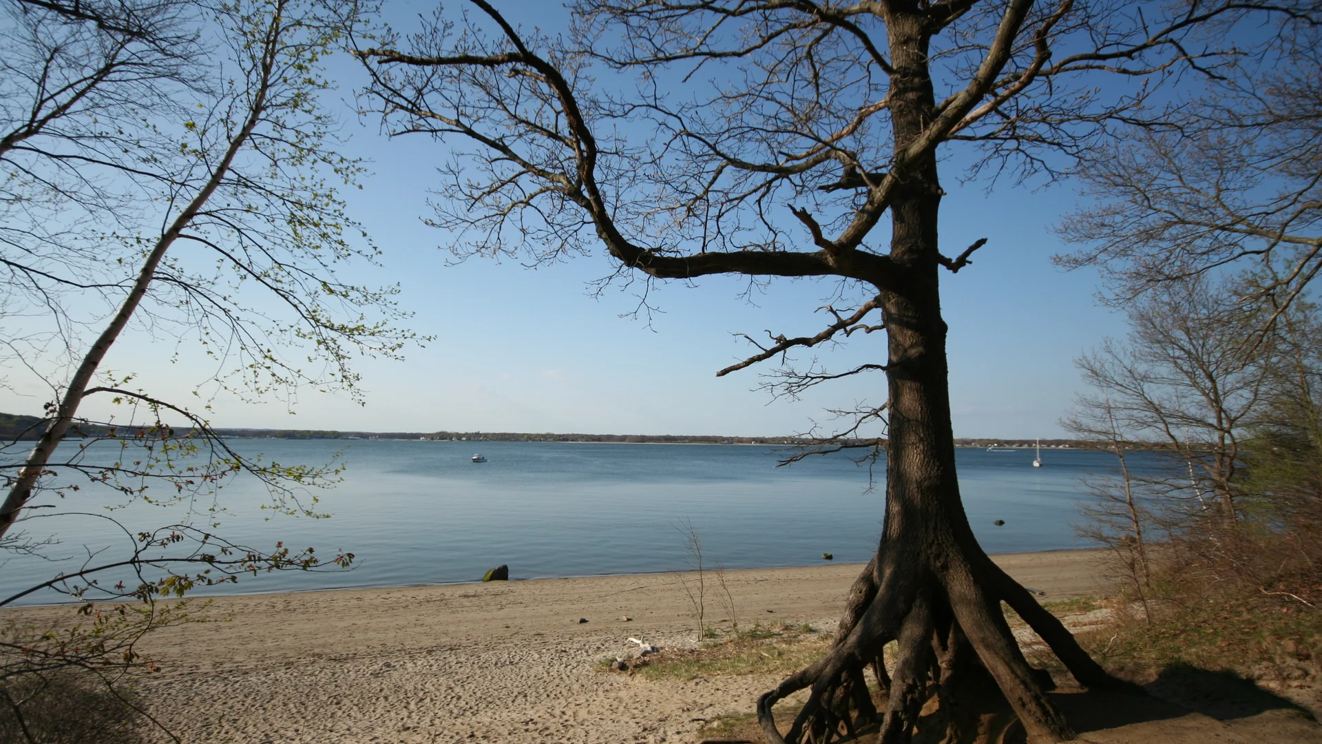 Ruhige Bucht zwischen alten Bäumen im Goddard Memorial State Park