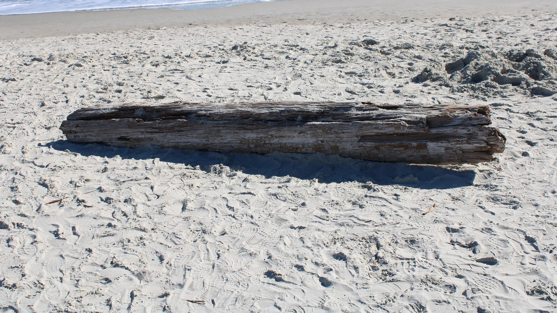 Großer Treibholzstamm auf dem hellen Strand des Huntington Beach State Park