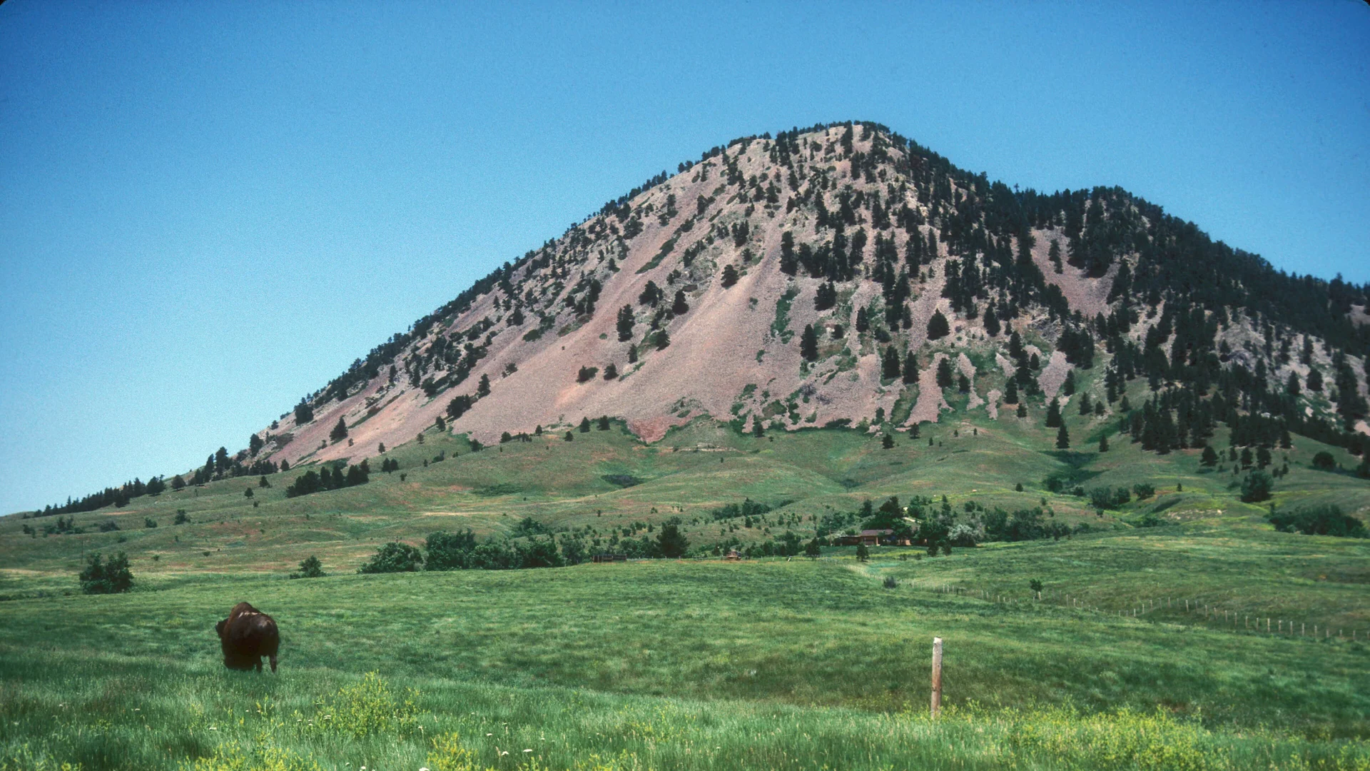 Bear Butte erhebt sich über grüner Prärie im nördlichen Black-Hills-Raum