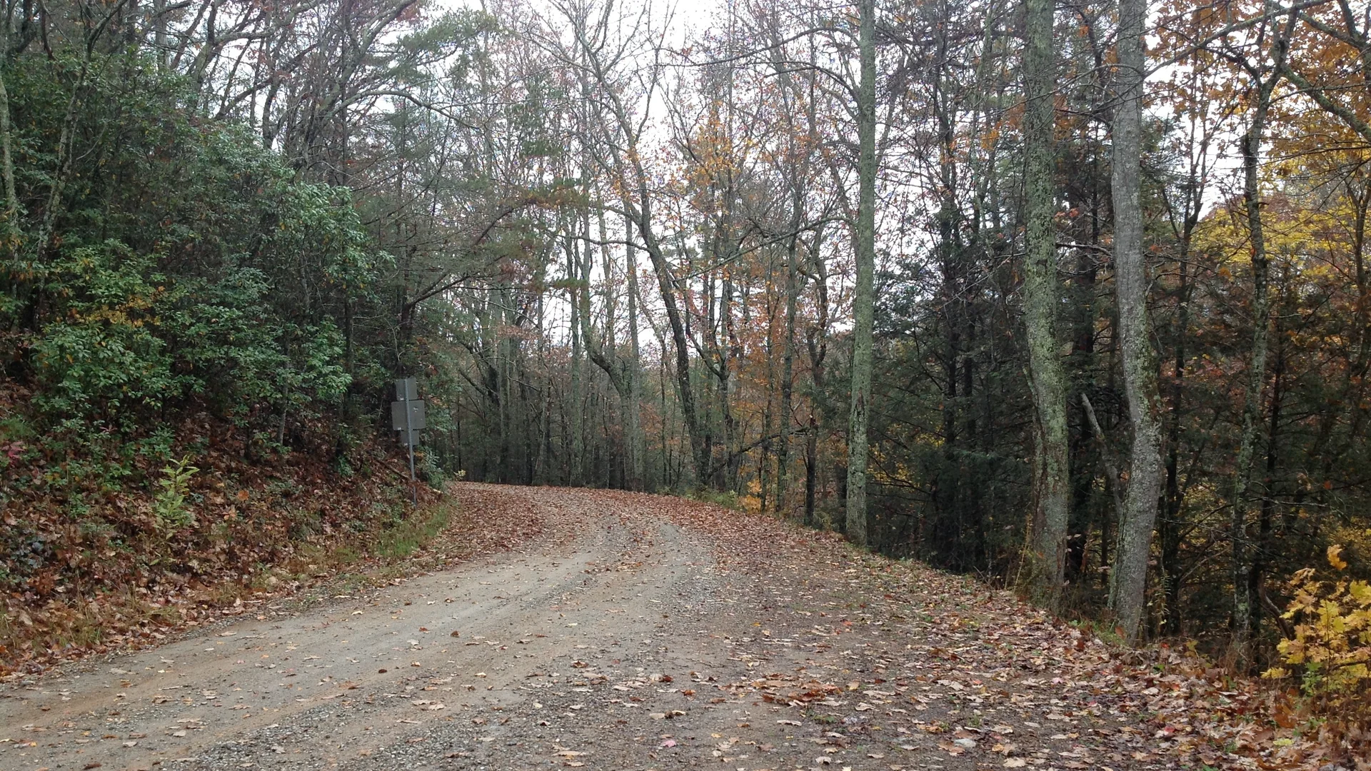 Gewundener Waldweg zwischen Laubbäumen im Cherokee National Forest in Tennessee