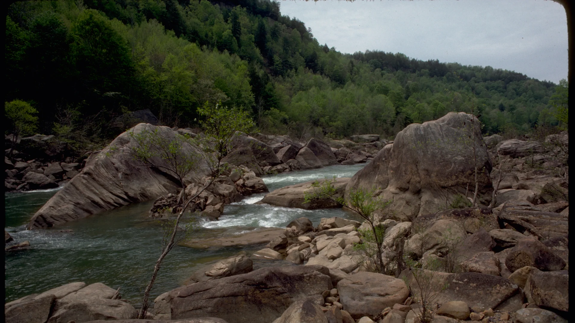 Felsiger Flusslauf und bewaldete Hänge am Obed Wild and Scenic River in Tennessee