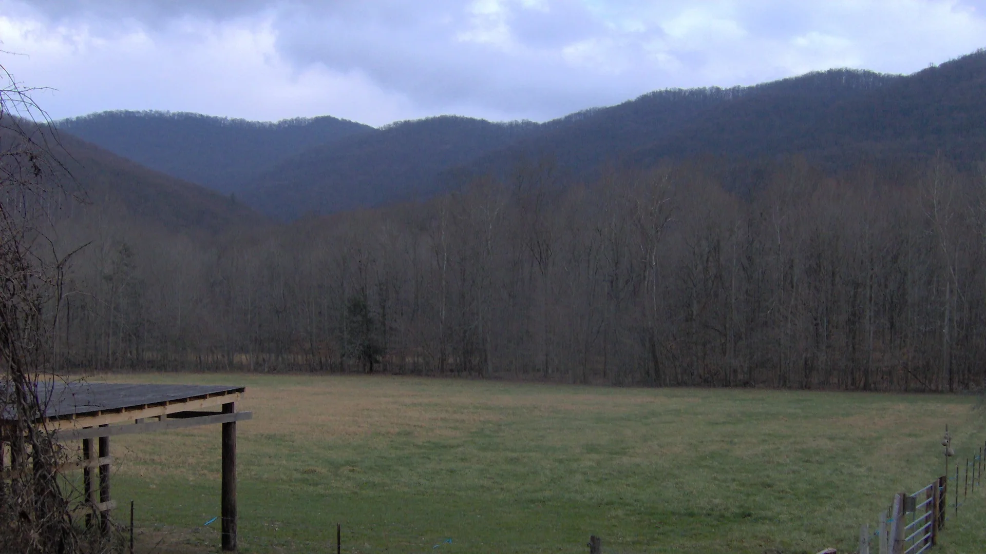Wiese und bewaldete Bergzüge der Crab Orchard Mountains im Frozen Head State Park
